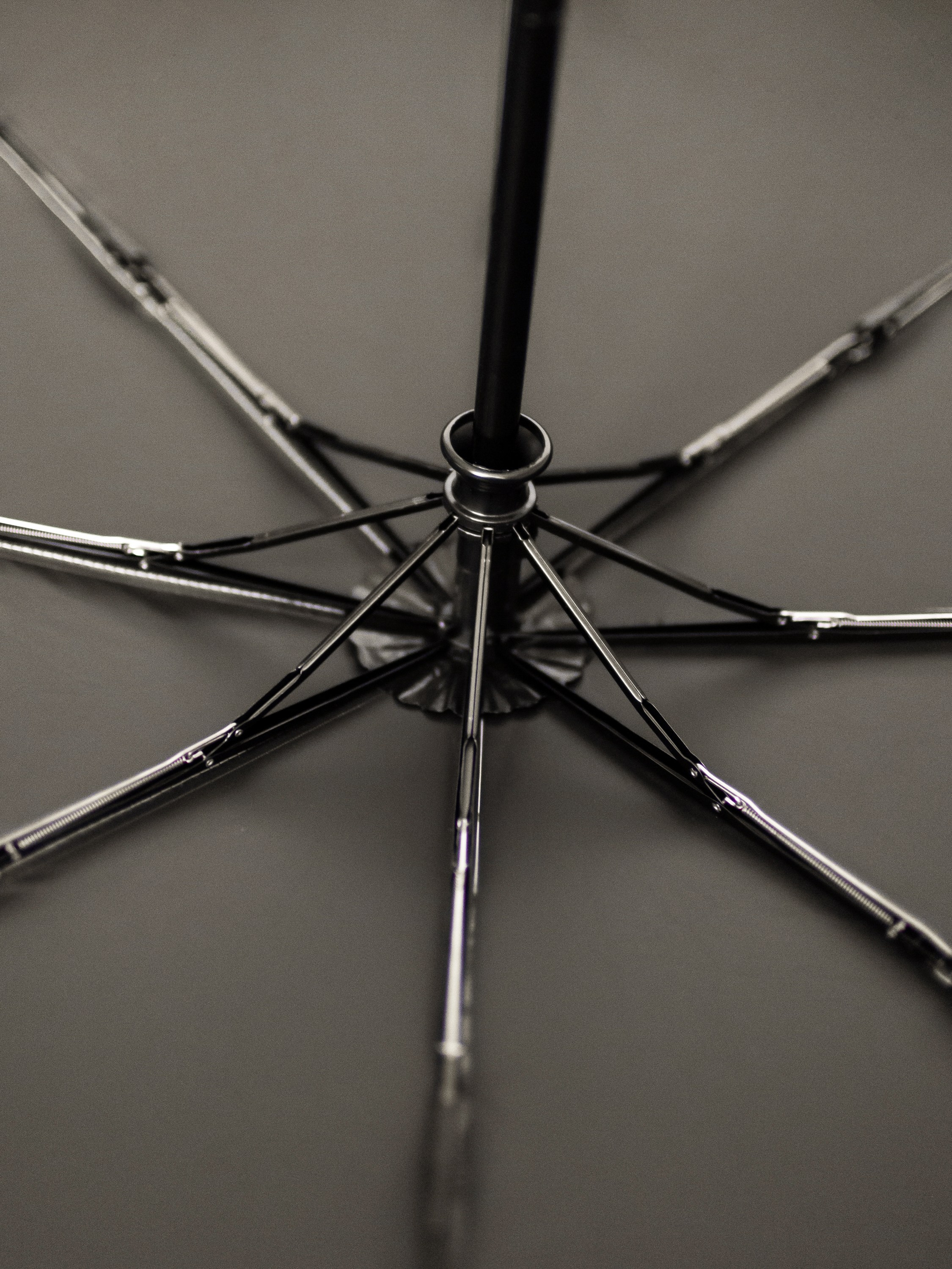 Зонты / Съемка для магазина на Ozon. Семейный и портретный фотограф в Санкт-Петербурге Андрей Воробьев