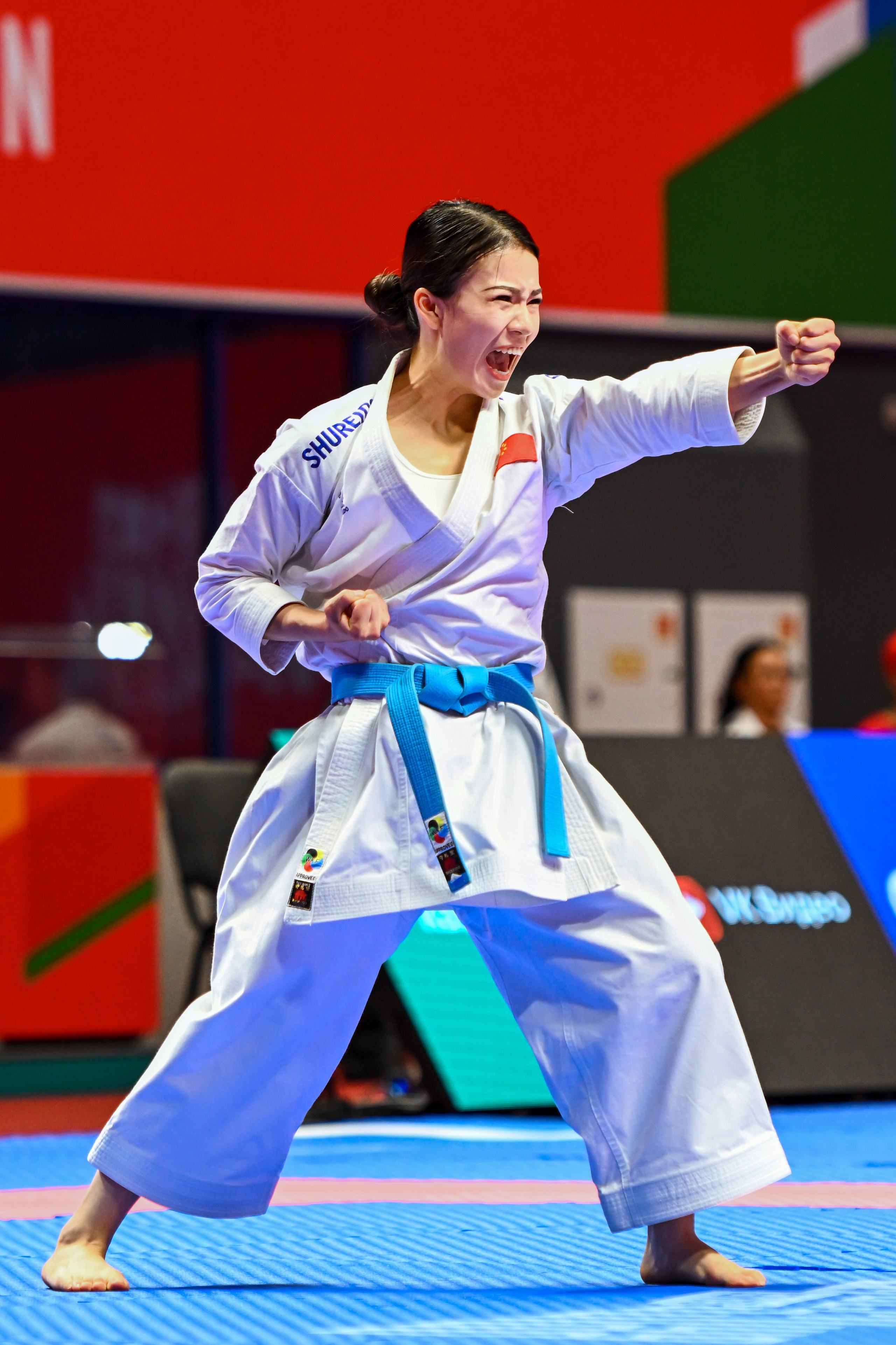 Каратэ «Спортивные игры стран БРИКС». Спортивный и репортажный фотограф в Казани Вячеслав Сатонин