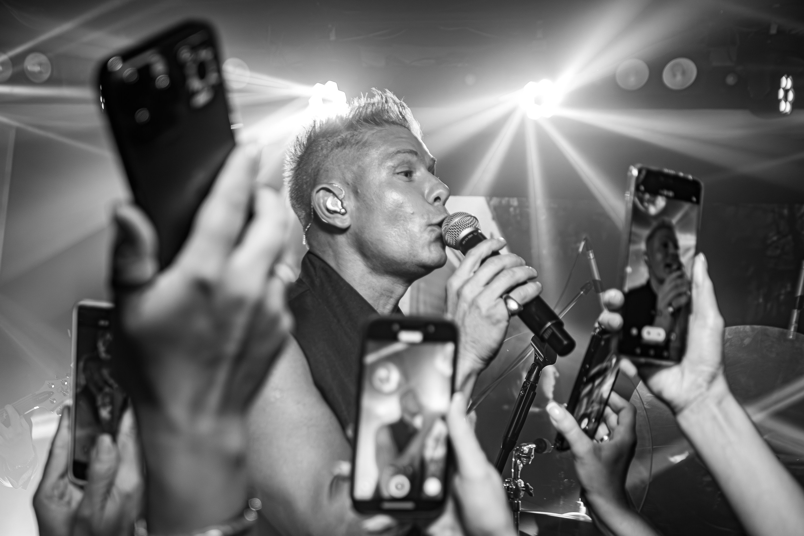 «Митя Фомин"_Чайка на пляже_Ялта_28.06.2025 г. Аминов Руслан | Фотограф