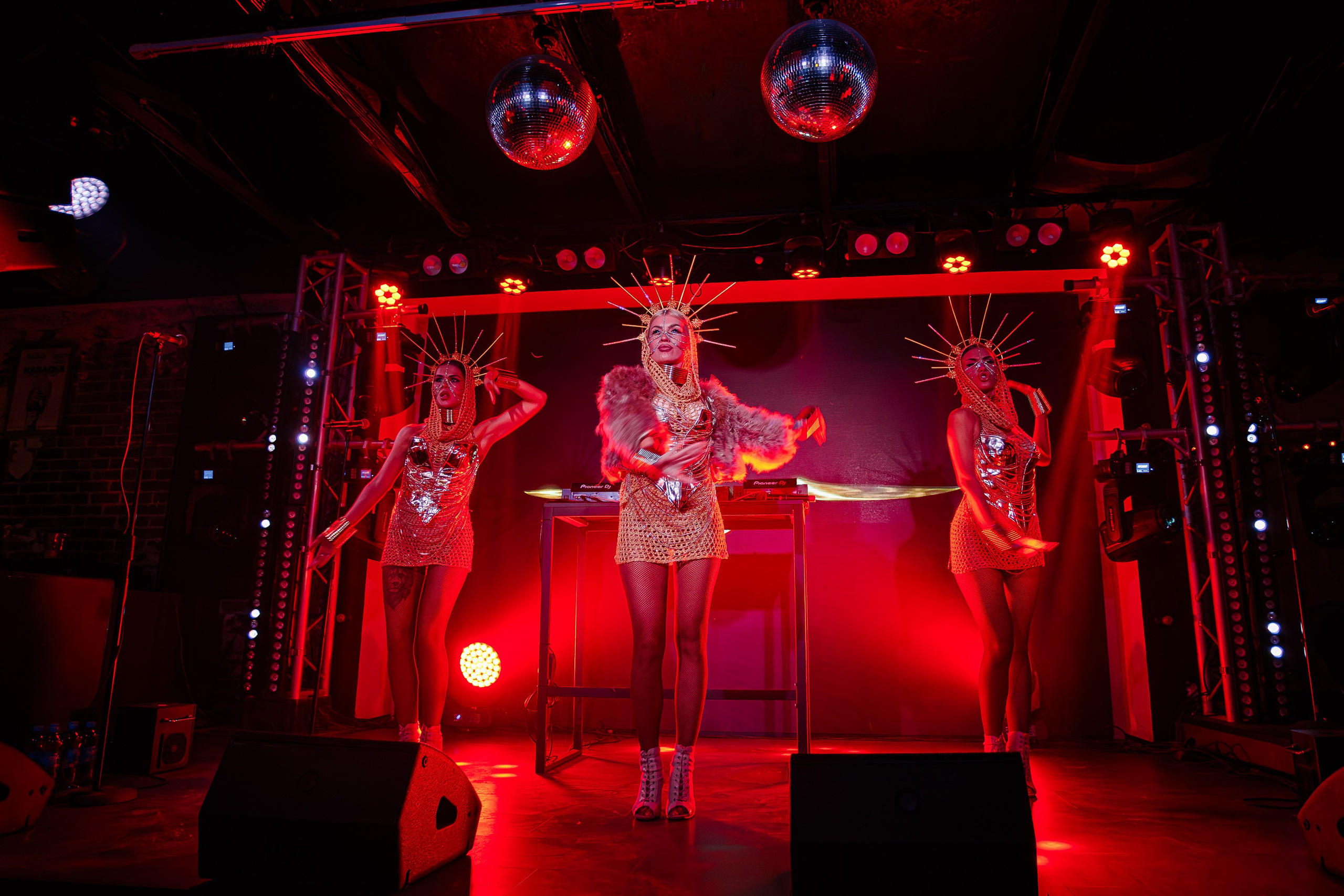 «LIZWI"_Чайка на пляже_Ялта_7.06.2025. Аминов Руслан | Фотограф