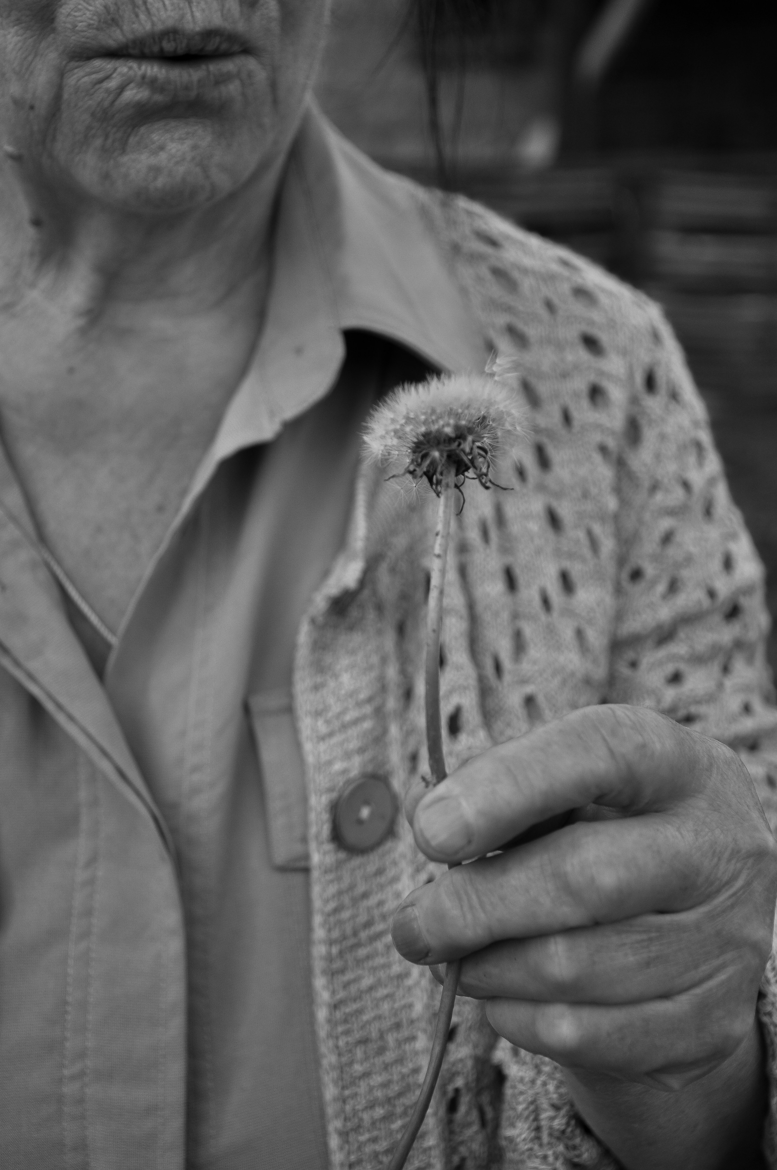 Babushka. DINA MOREVA photography