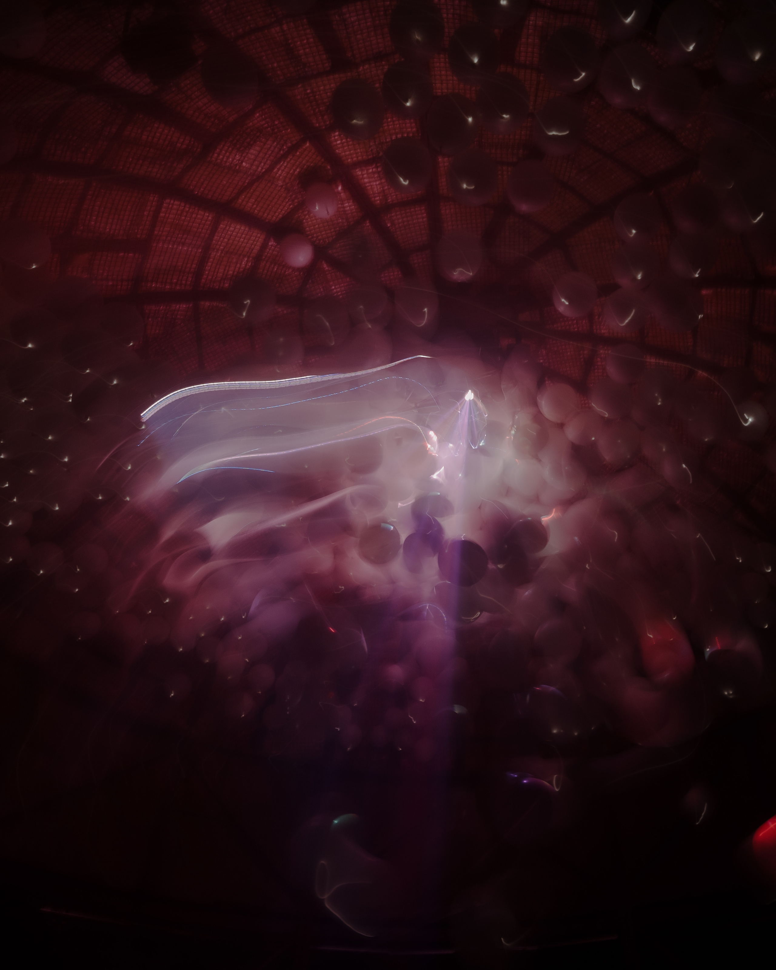 NEWTON, SILA SVETA. @tomrus: Рустам Шагиморданов — фотограф