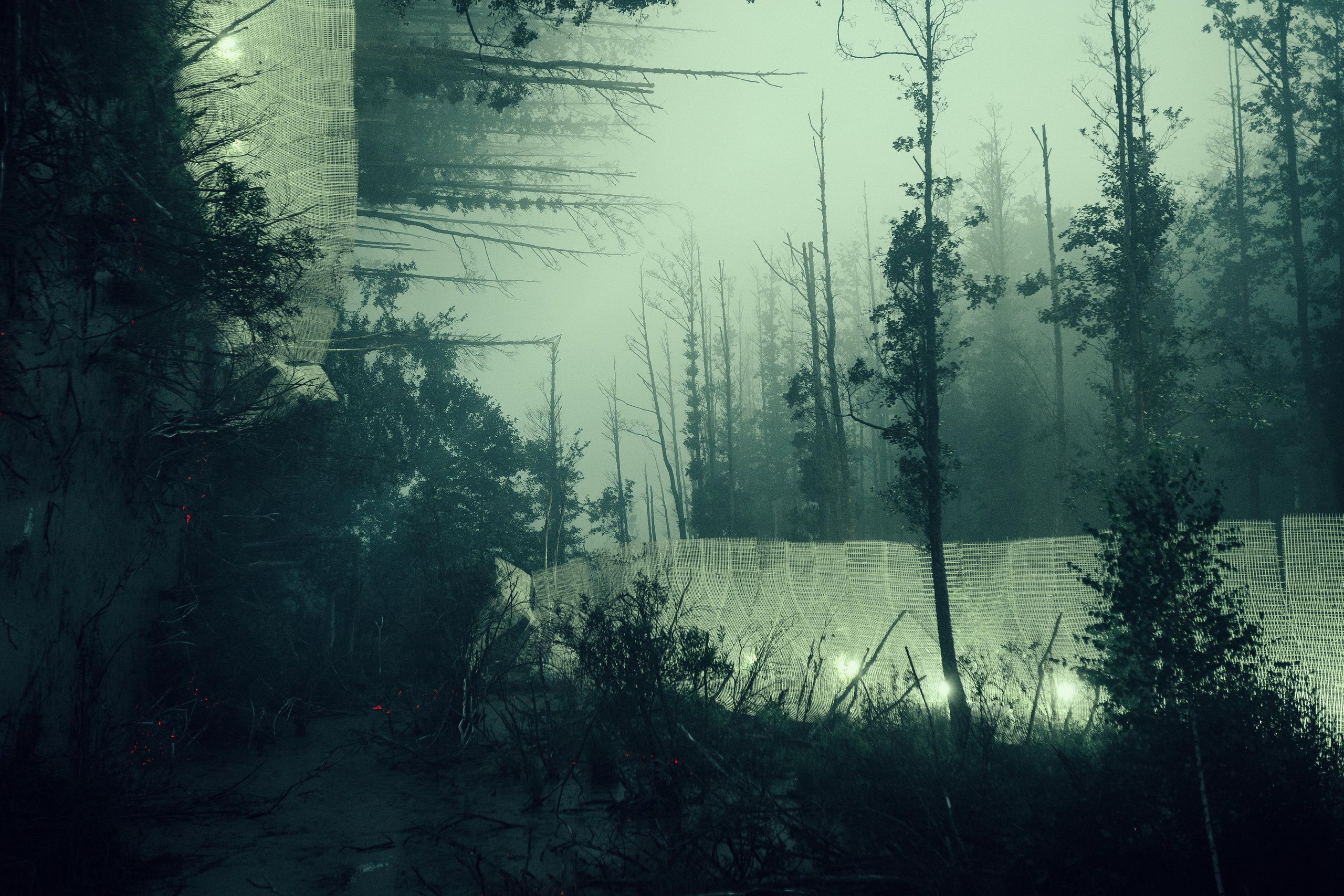 Signal 2023. @tomrus: Рустам Шагиморданов — фотограф