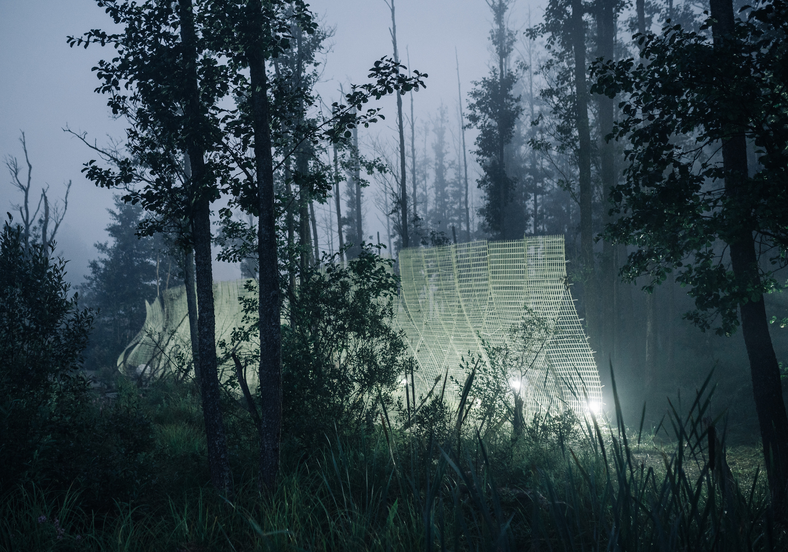 Signal 2023. @tomrus: Рустам Шагиморданов — фотограф