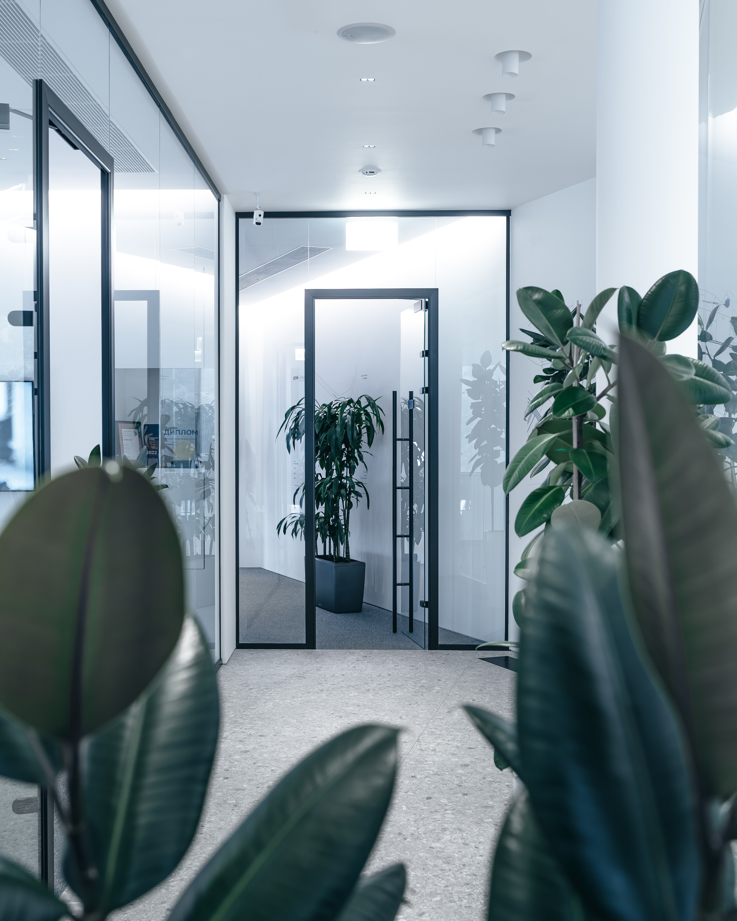 Stone hedge, STONE. @tomrus: Рустам Шагиморданов — фотограф