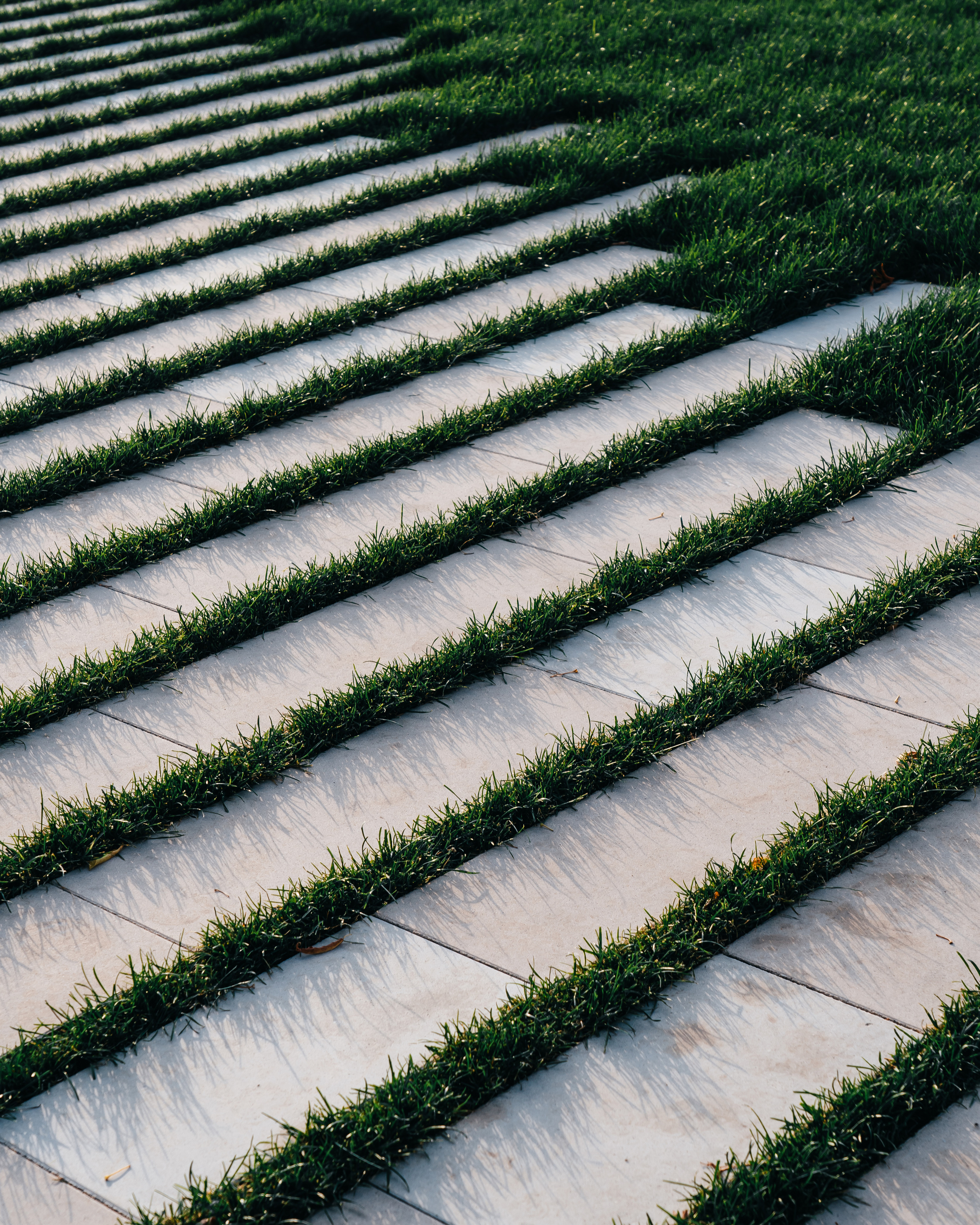 Portland, FORMA. @tomrus: Рустам Шагиморданов — фотограф