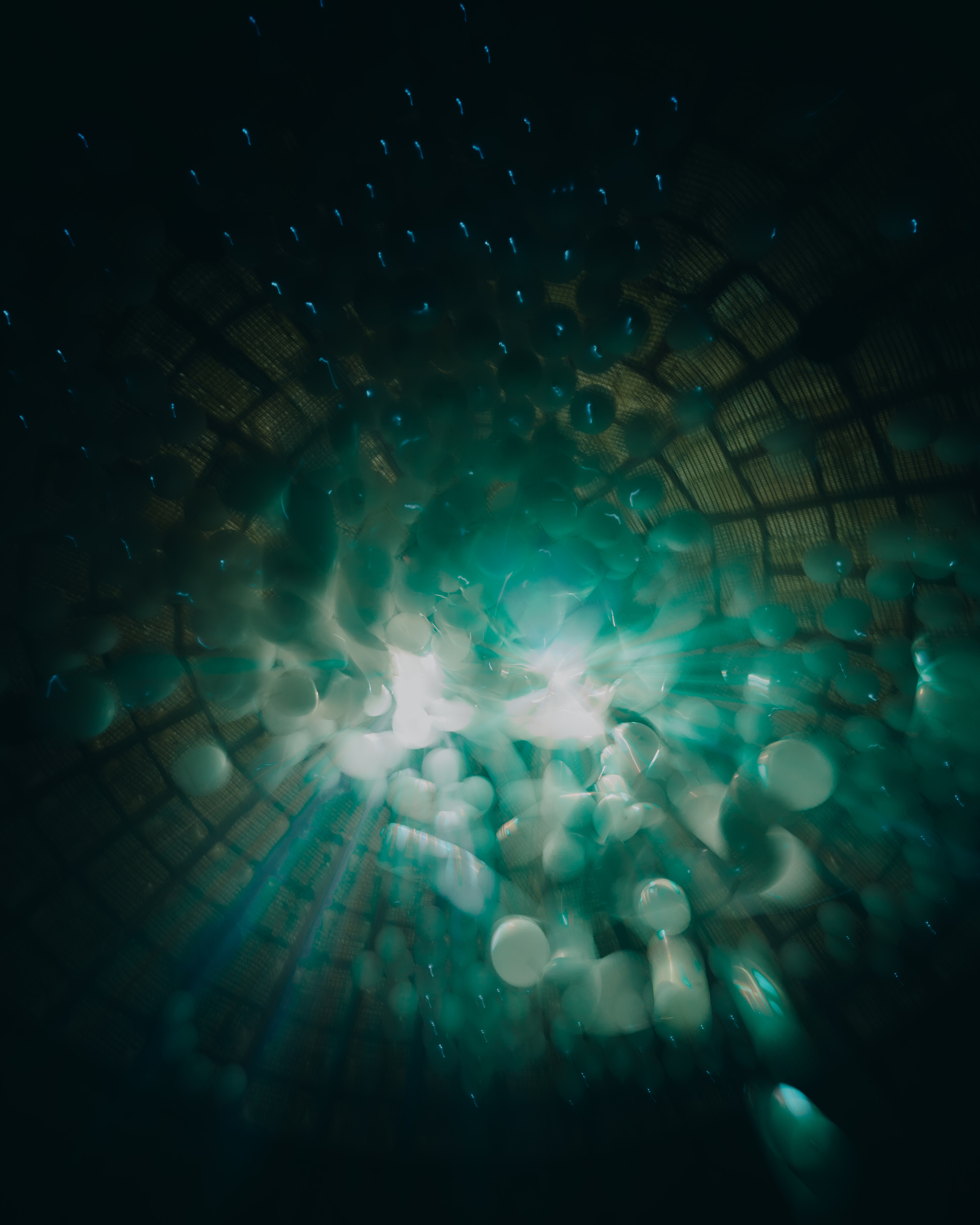 NEWTON, SILA SVETA. @tomrus: Рустам Шагиморданов — фотограф