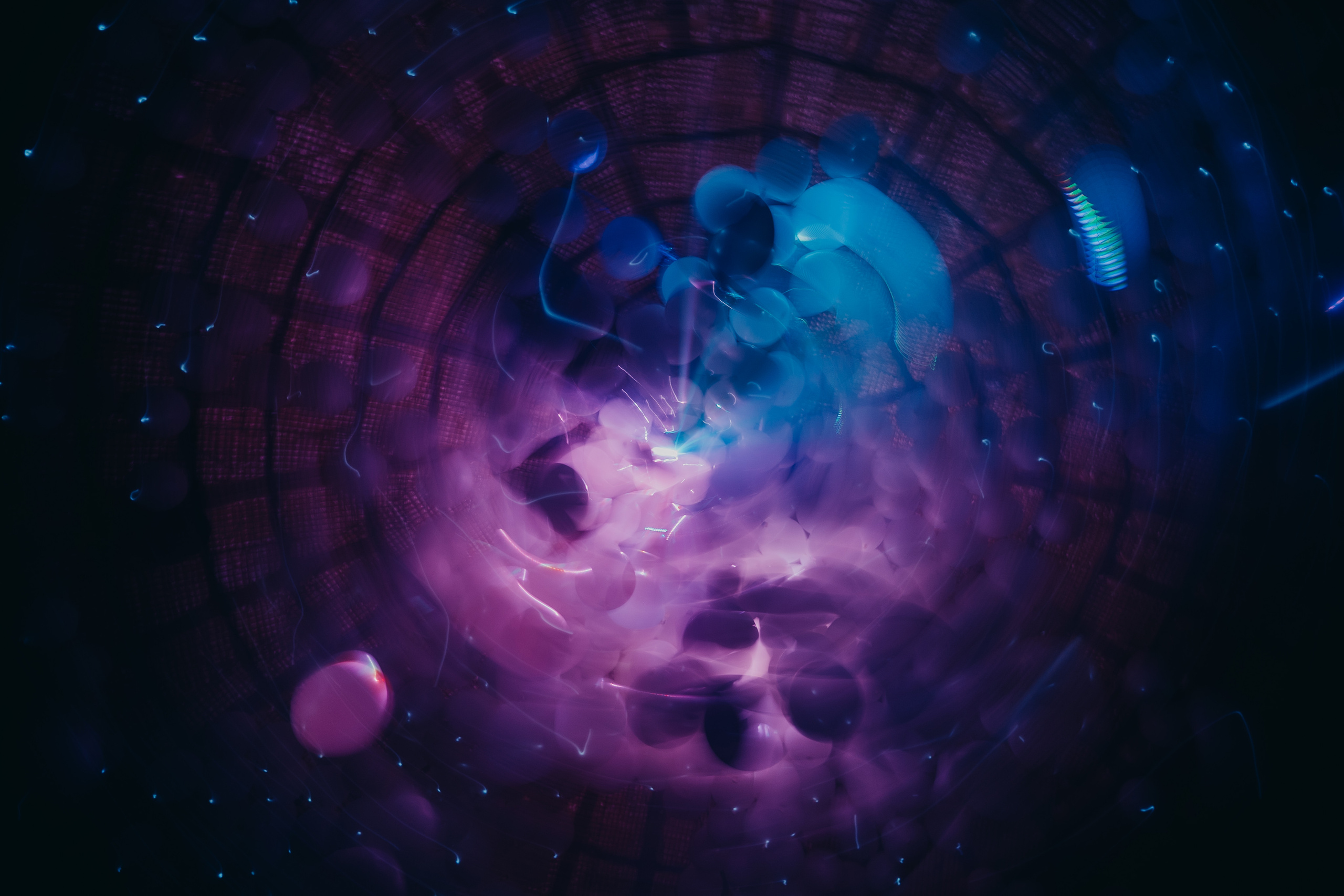 NEWTON, SILA SVETA. @tomrus: Рустам Шагиморданов — фотограф