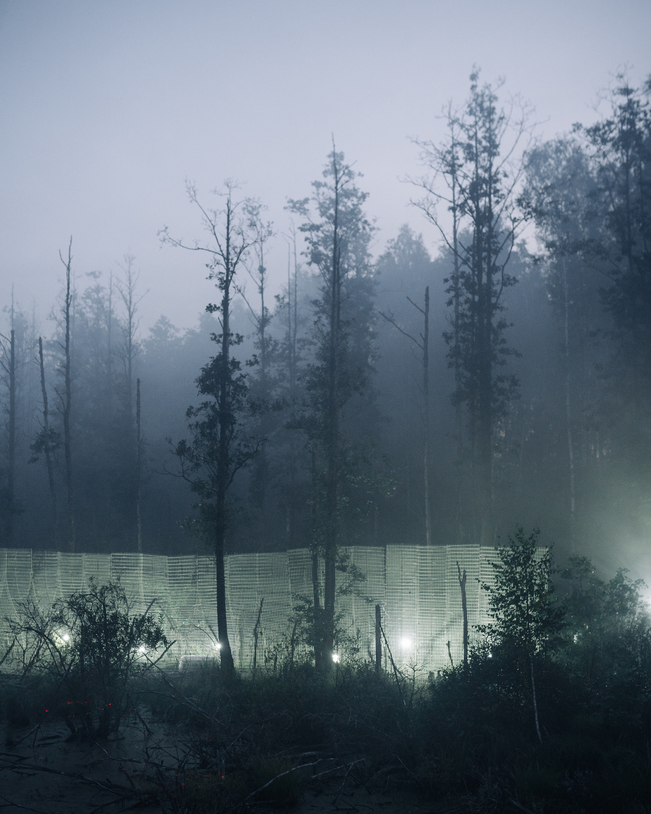 Signal 2023. @tomrus: Рустам Шагиморданов — фотограф