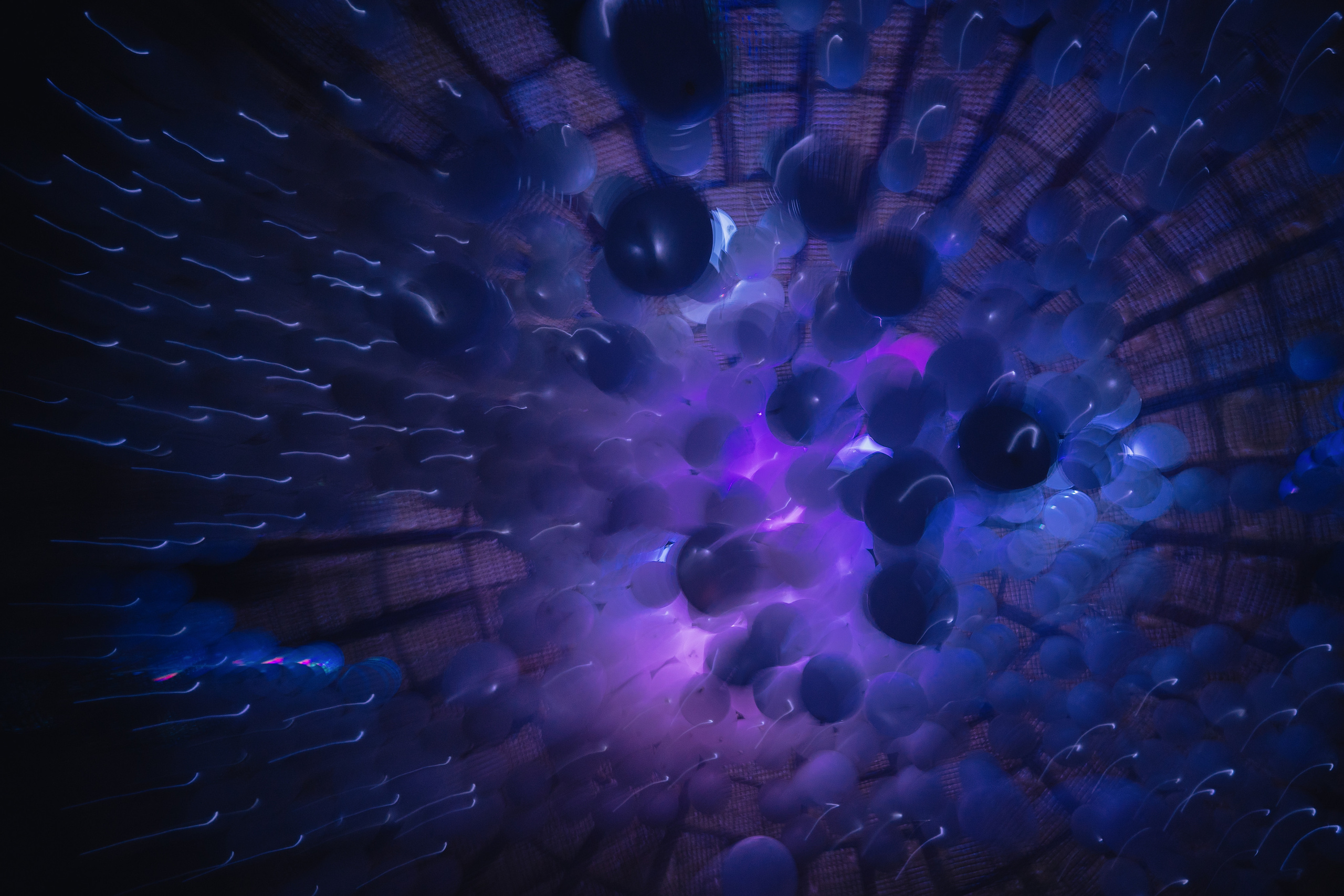 NEWTON, SILA SVETA. @tomrus: Рустам Шагиморданов — фотограф