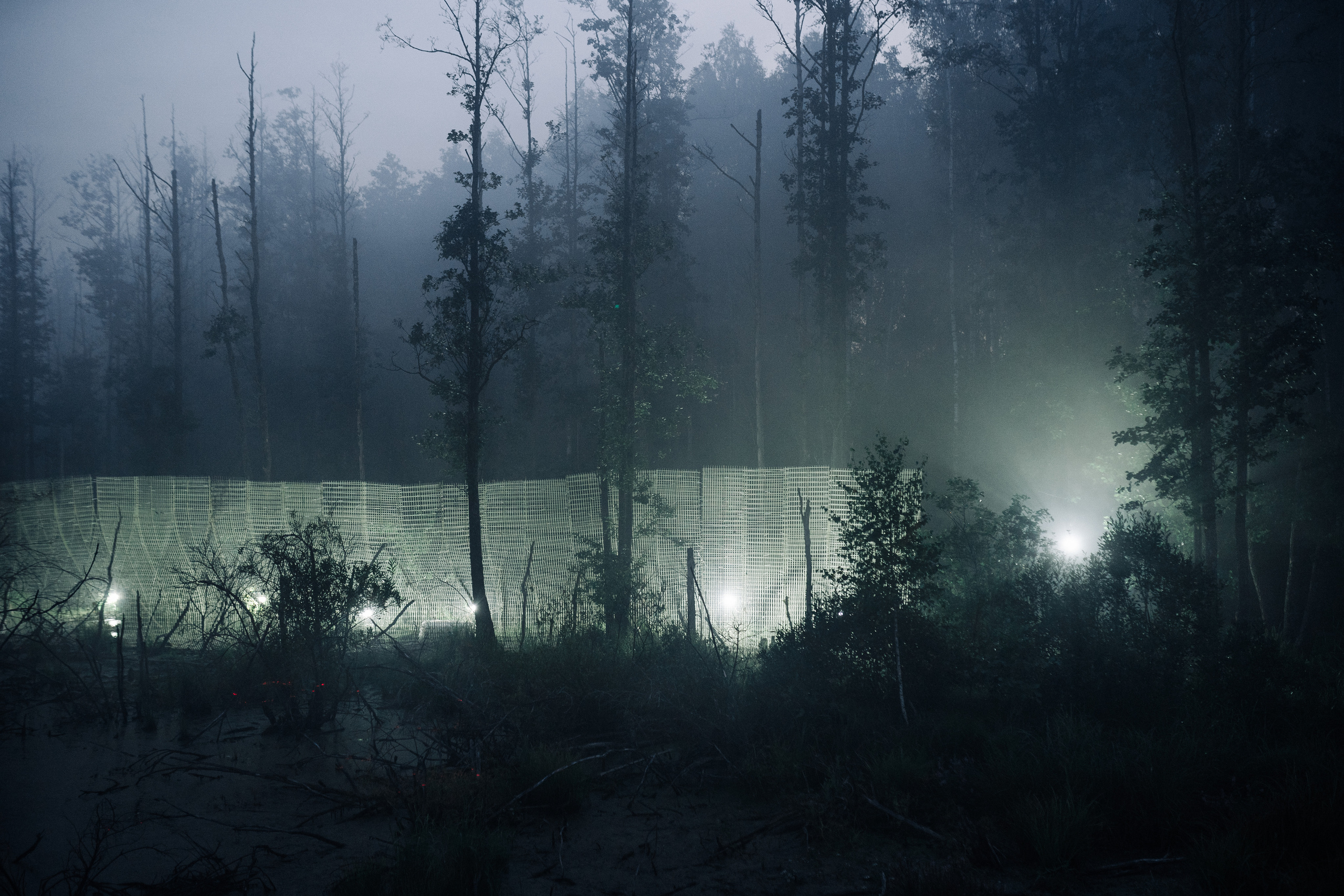 Signal 2023. @tomrus: Рустам Шагиморданов — фотограф