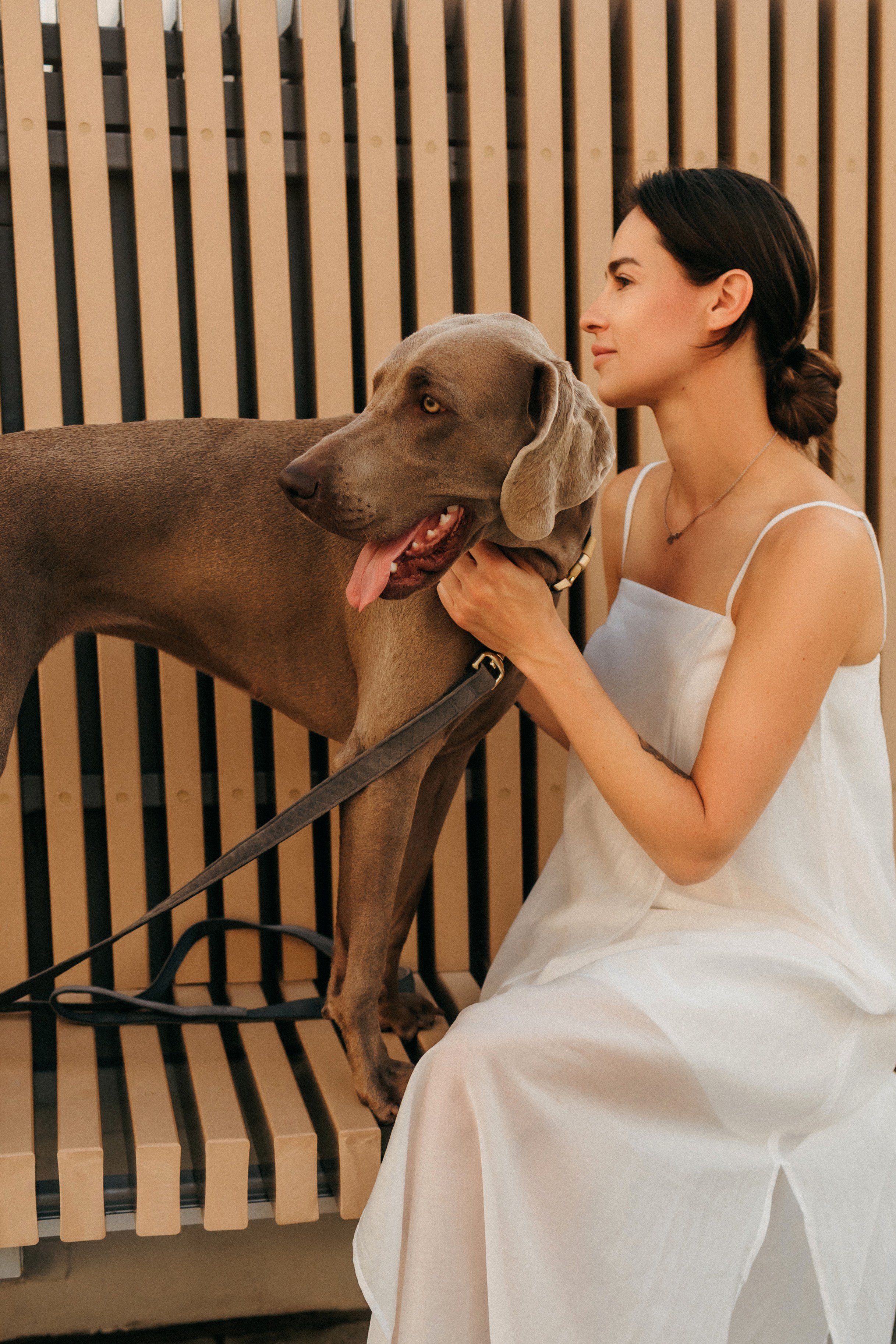 Соня и Майли. Фотограф-анималист Елена Радченко, Москва