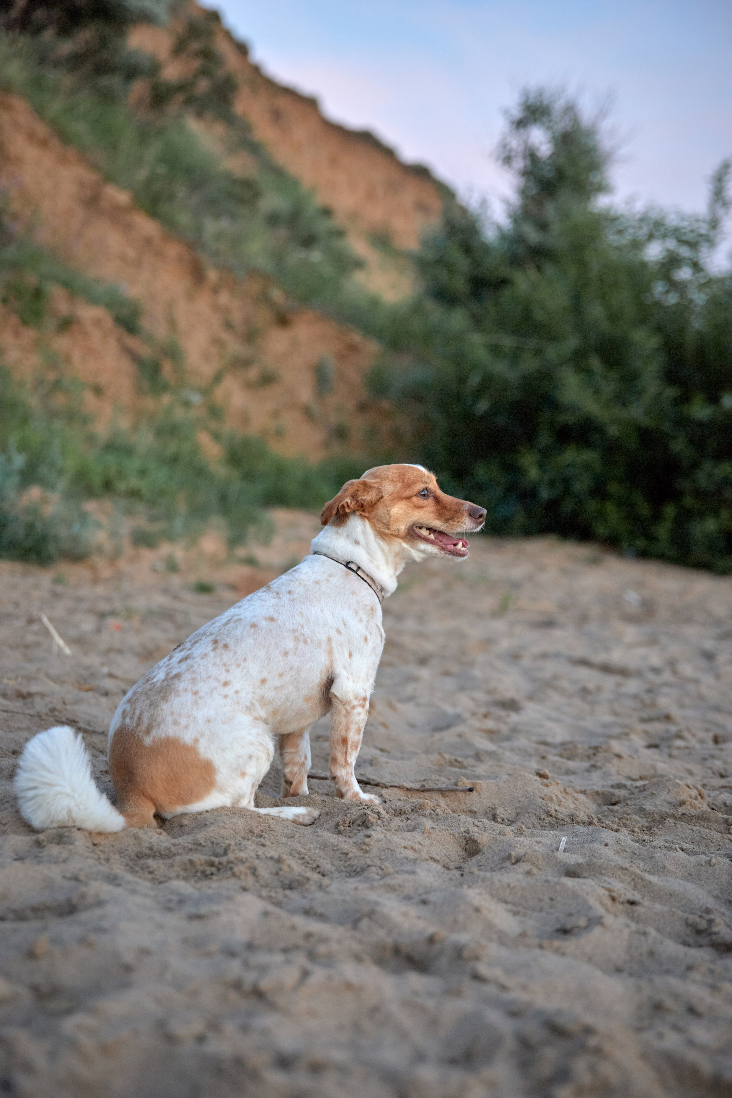 Ягодное. Фотограф в Самаре Анастасия Афанасьева