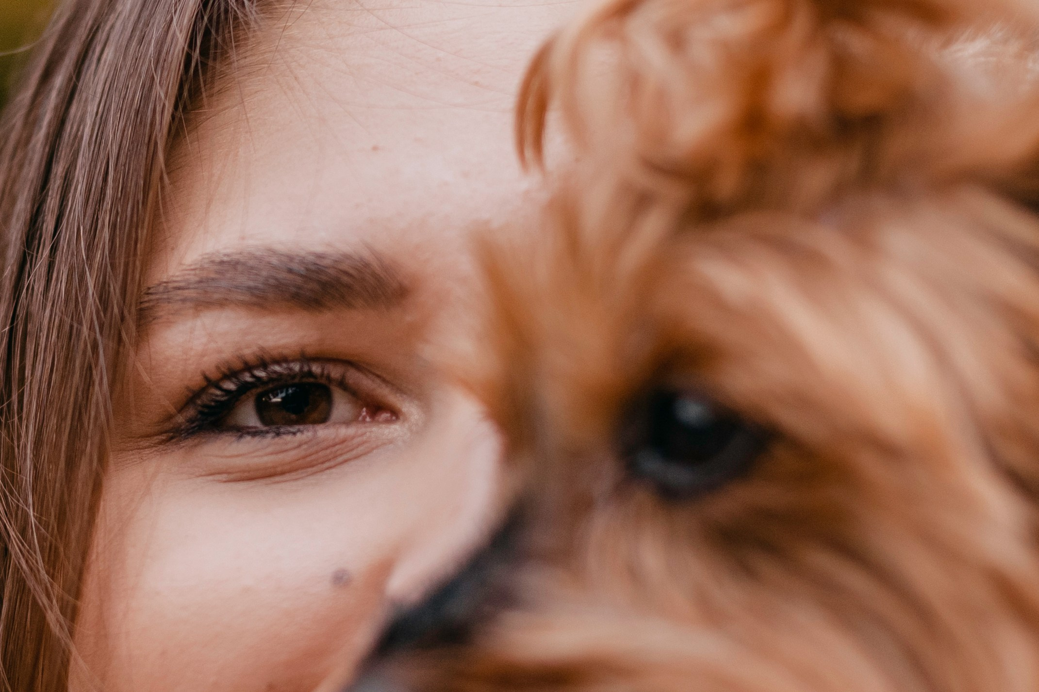 Катя и Моня. Фотограф-анималист Татьяна Степанова