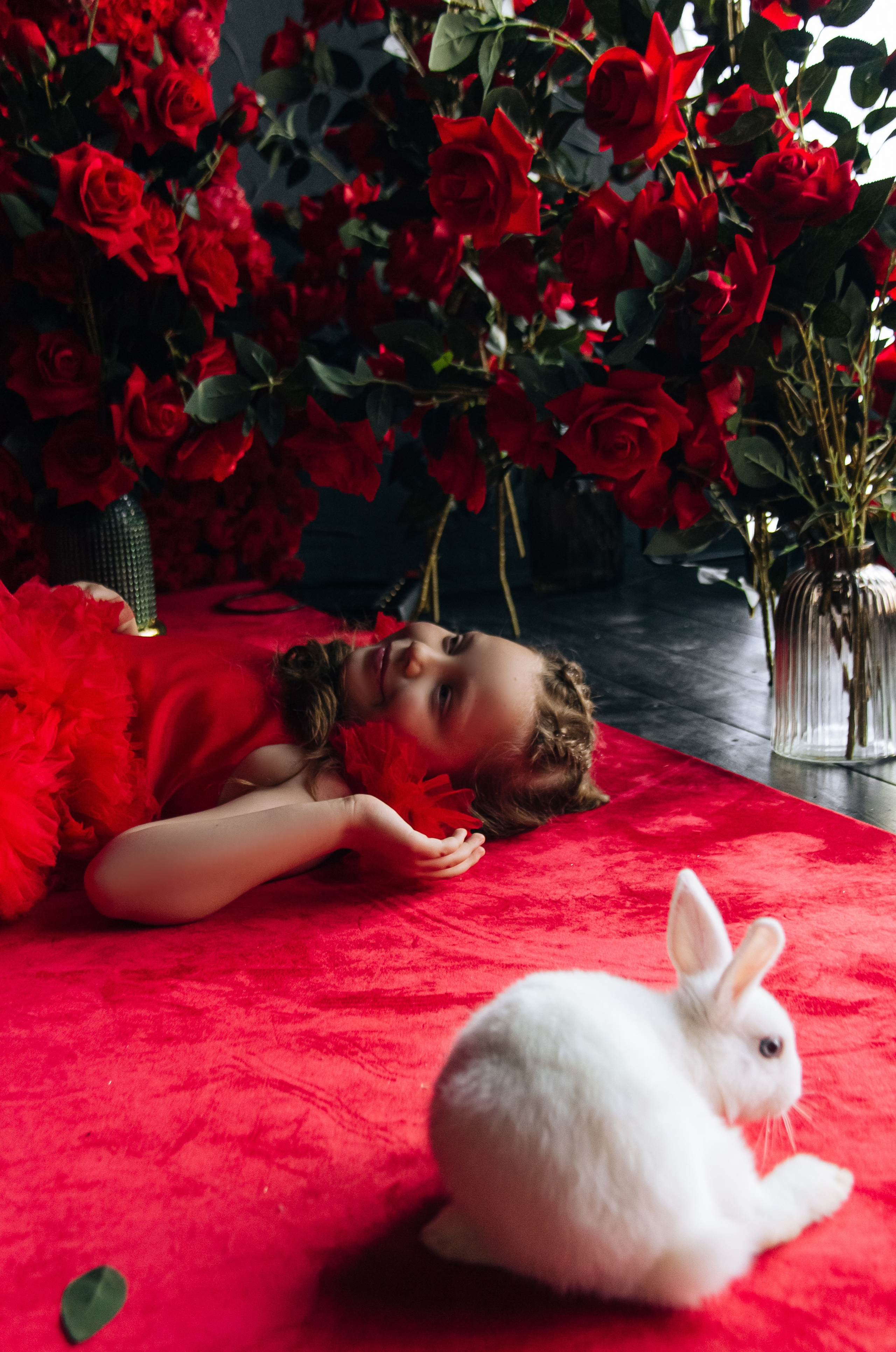 Фотопроект "Осенний кролик"