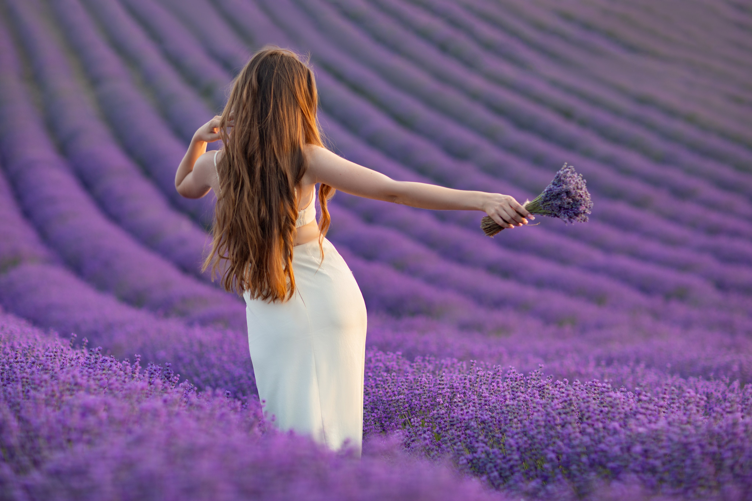 ЛАВАНДА. Фотограф Севастополь/Крым Светлана Евтушенко