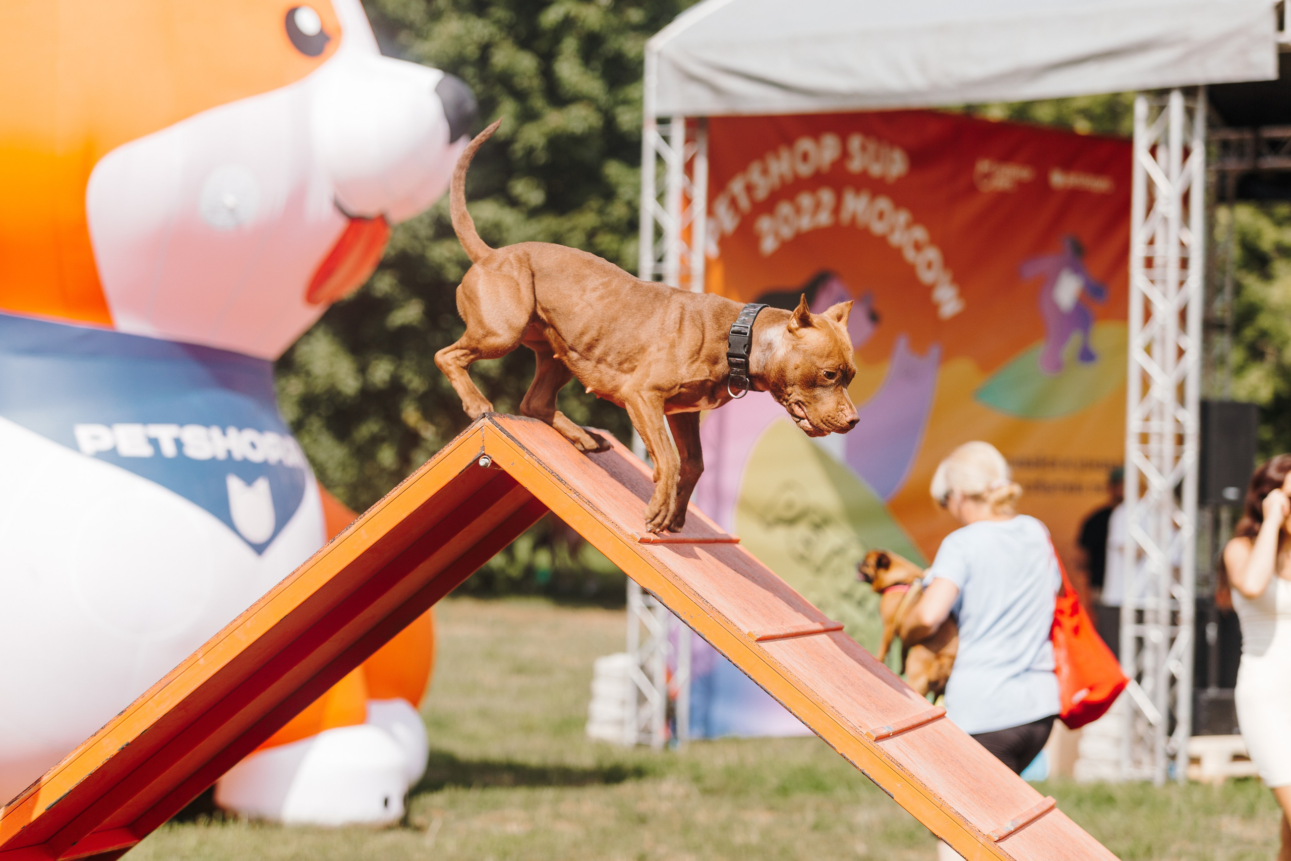 Petshop Sup day. Фотограф анималист Кристина Карпова, Москва