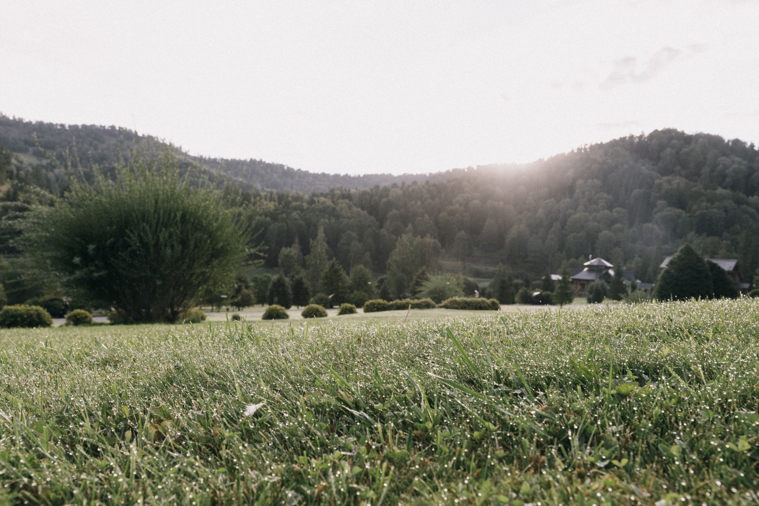 Алтай, природа и эстетика. Александр Чернин. Семейный и событийный фотограф