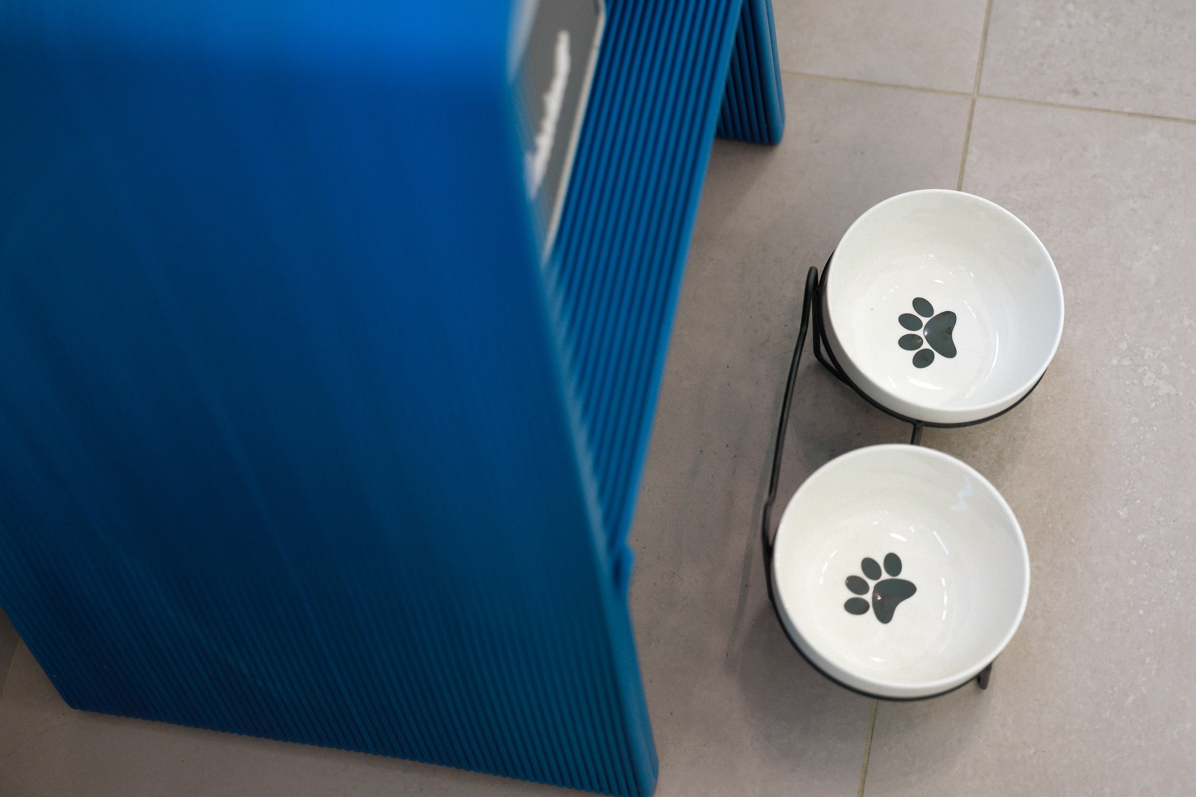 /РЕПОРТАЖ/ Открытие вело сезона VETER.CC SPB. 2024. Свадебный фотограф Великий Новгород Станислав Кособудский