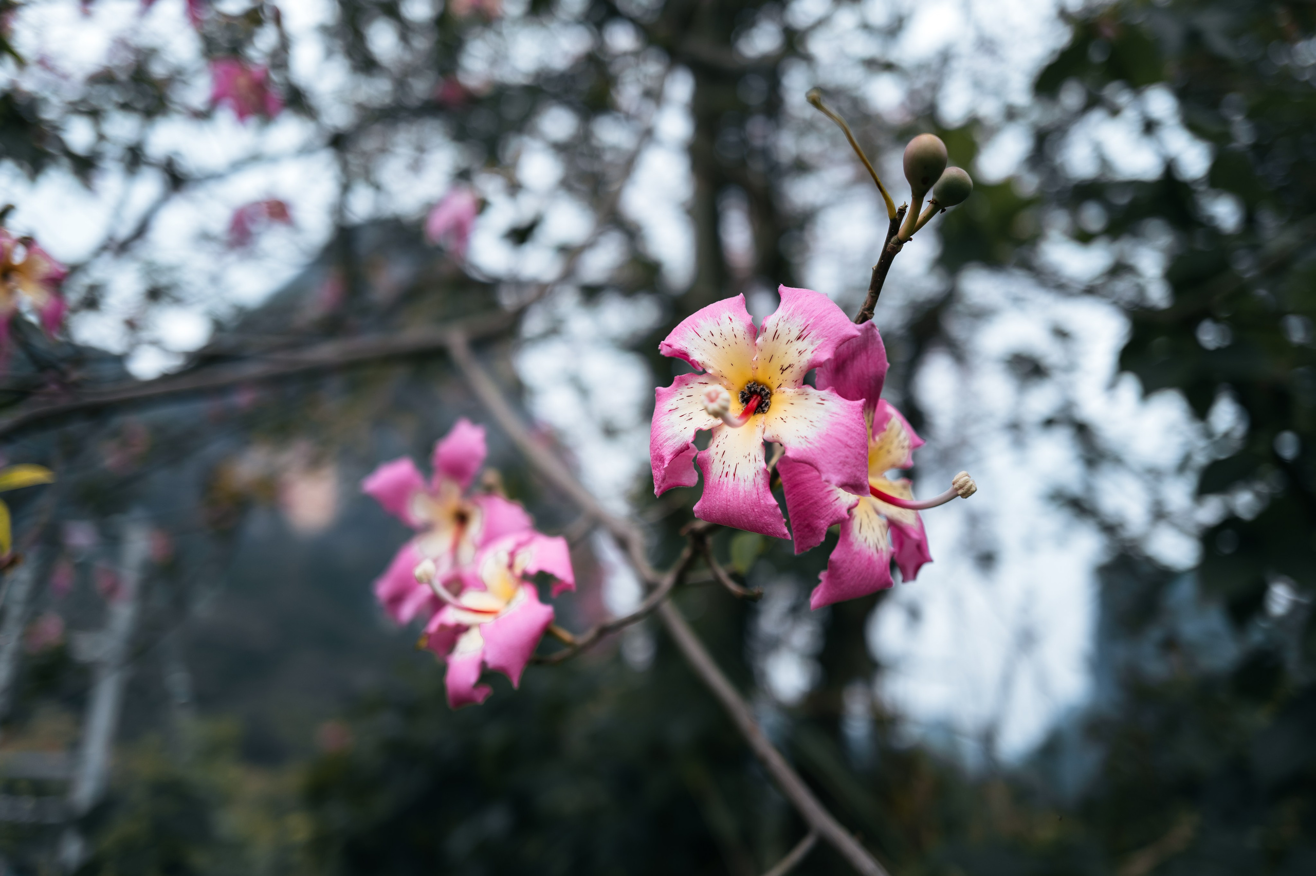 China/Китай. @tomrus: Рустам Шагиморданов — фотограф