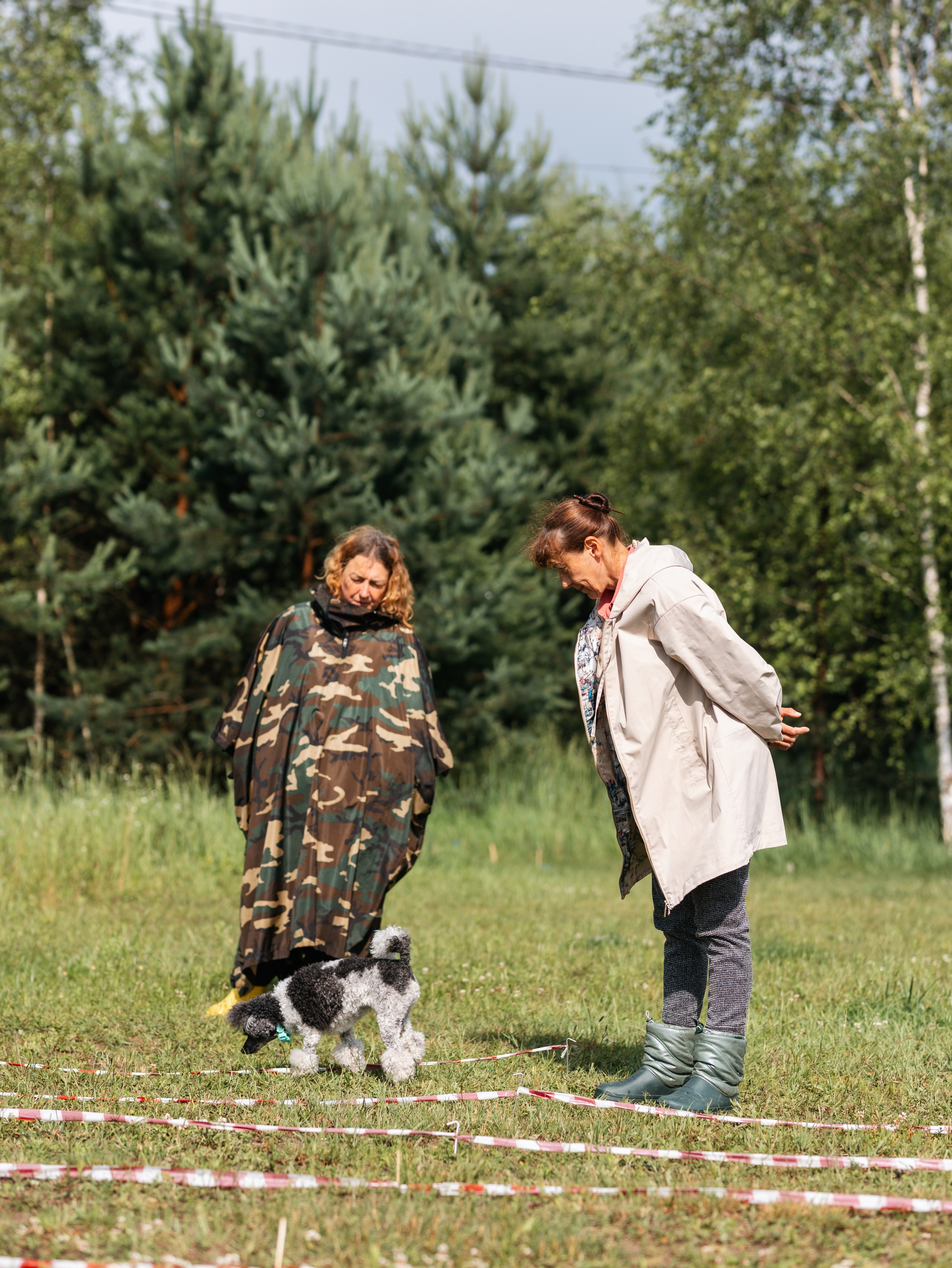 Лагерь ноузворк. Фотограф-анималист в Москве Кириллова Татьяна
