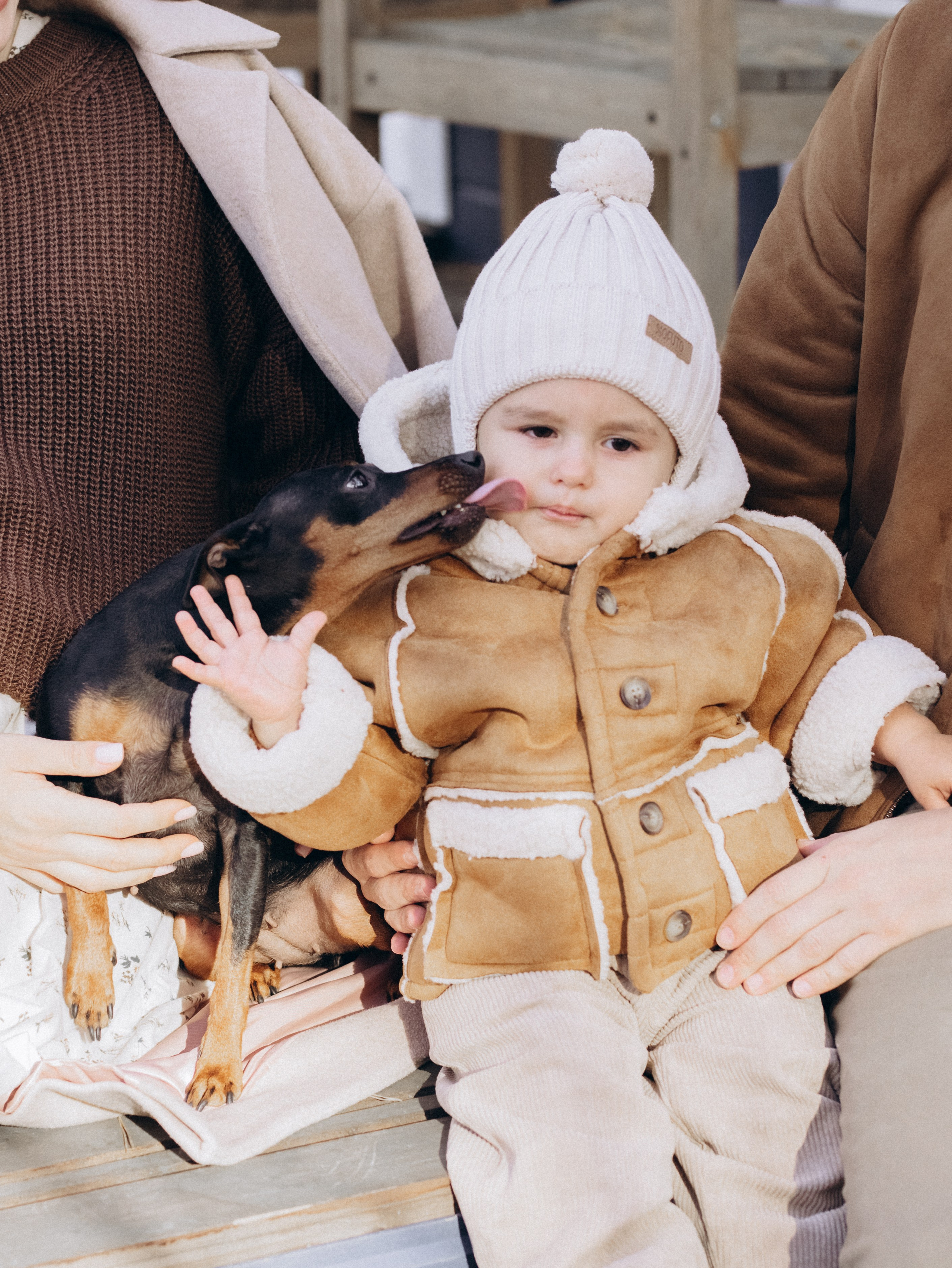 Теплая осень. Фотограф-анималист в Москве Кириллова Татьяна