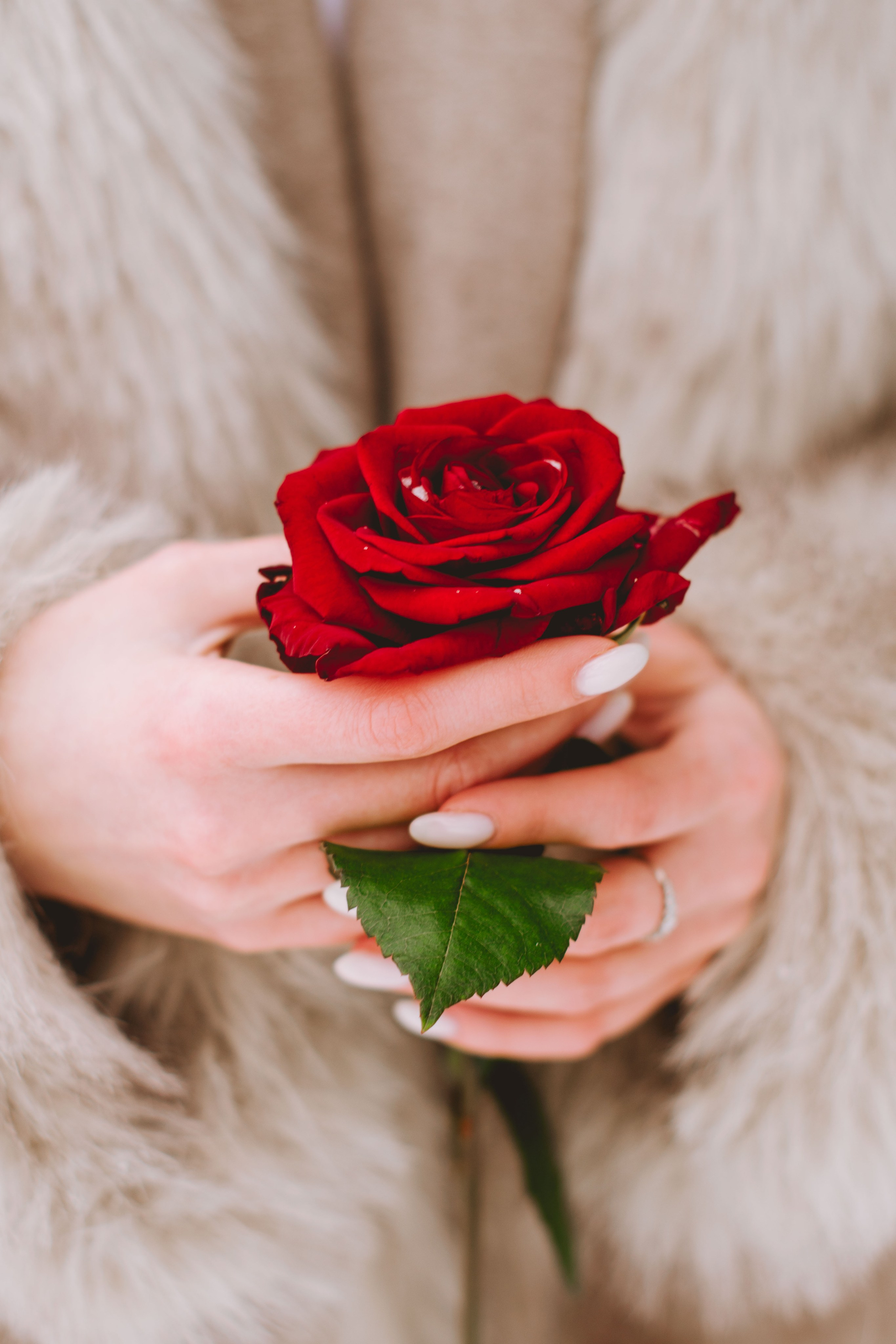 Лера. Фотограф индивидуальная портретная съёмка Москва