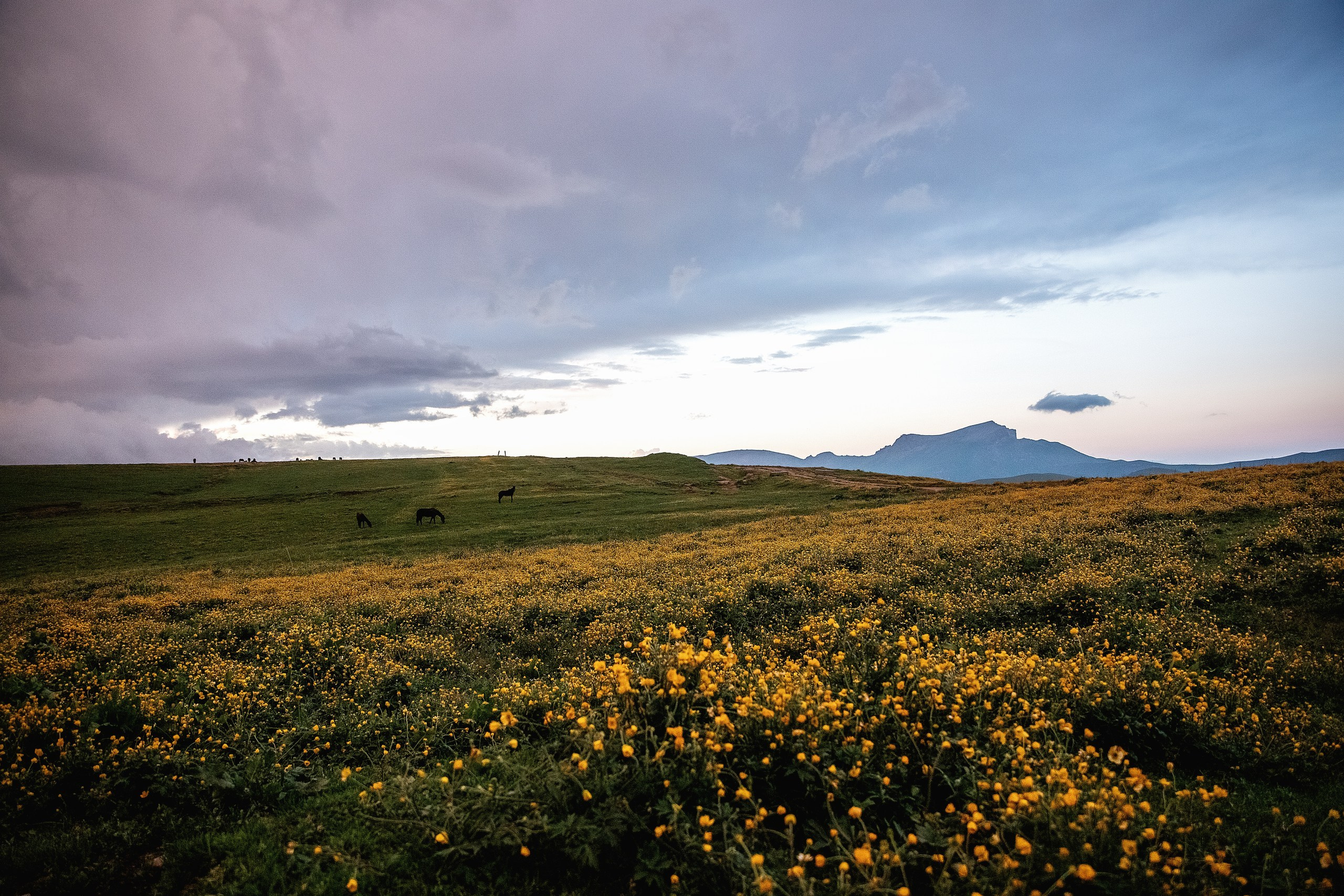 Плато Бийчесын. BrisArts