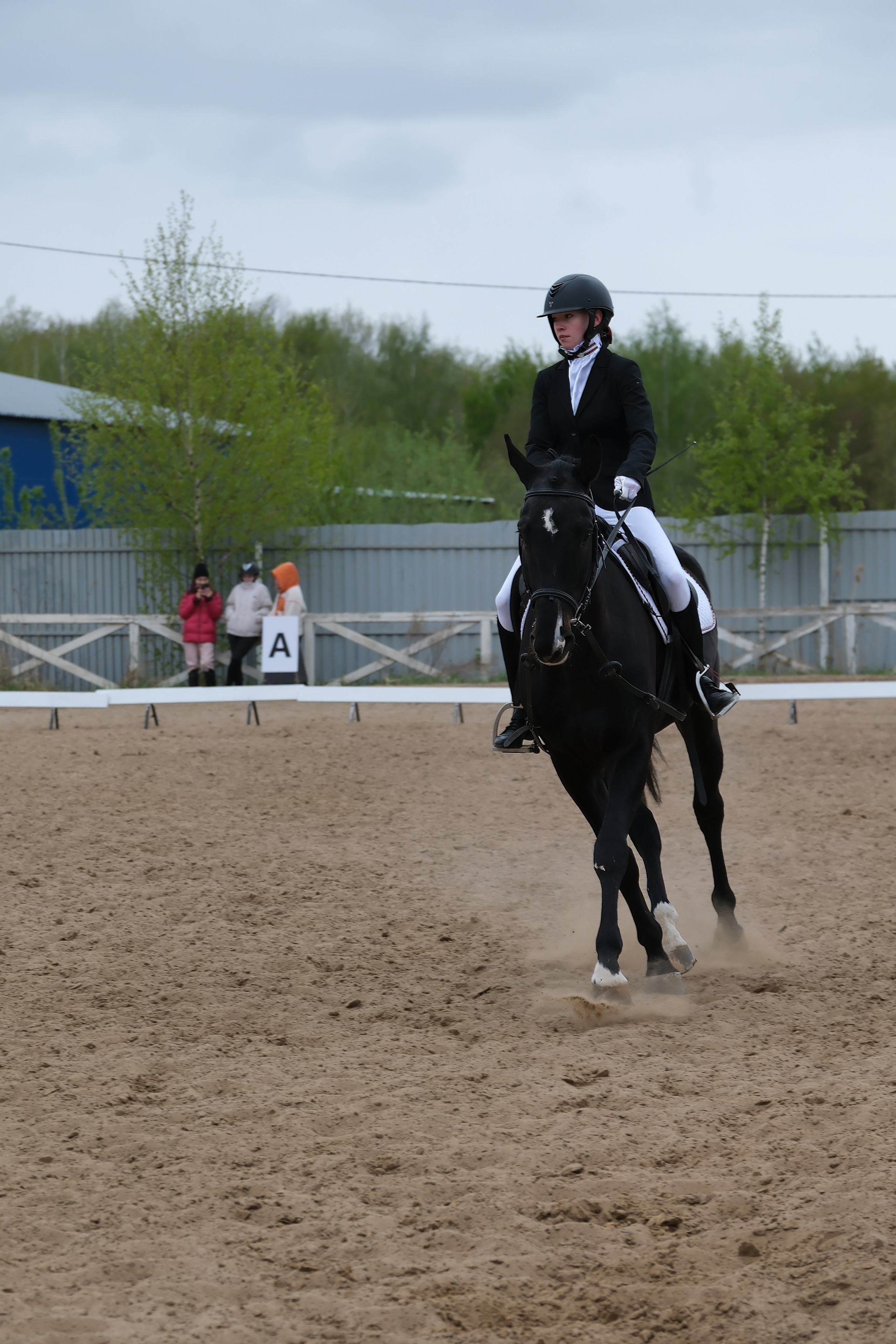 Соревнования по конному спорту в КСК «АЛЛЮР»!. Добро пожаловать в студию «Цифровой скульптор»  где искусство встречается с технологиями!