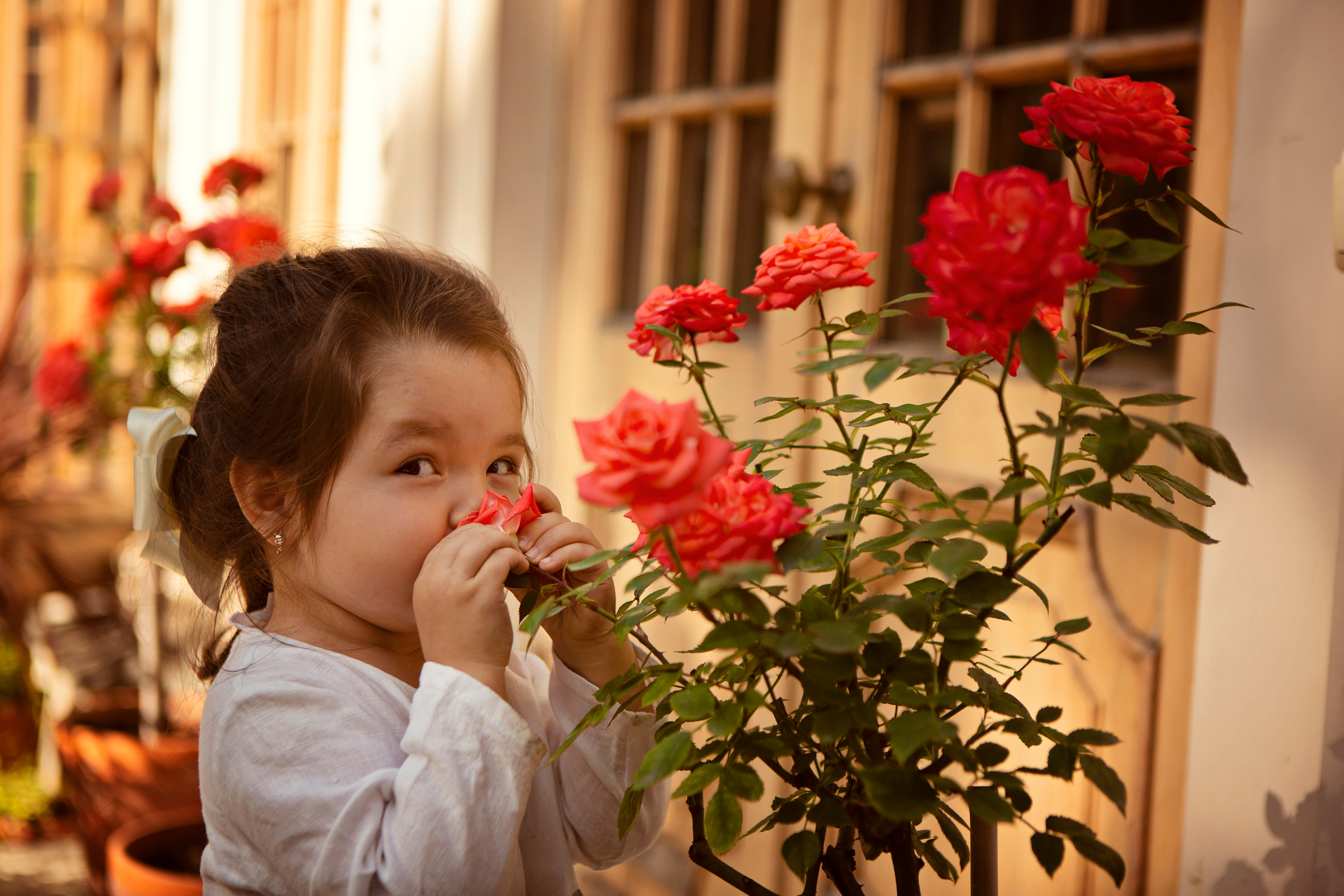 Моя семья. Фотограф / Мастерская фотографии МетоD