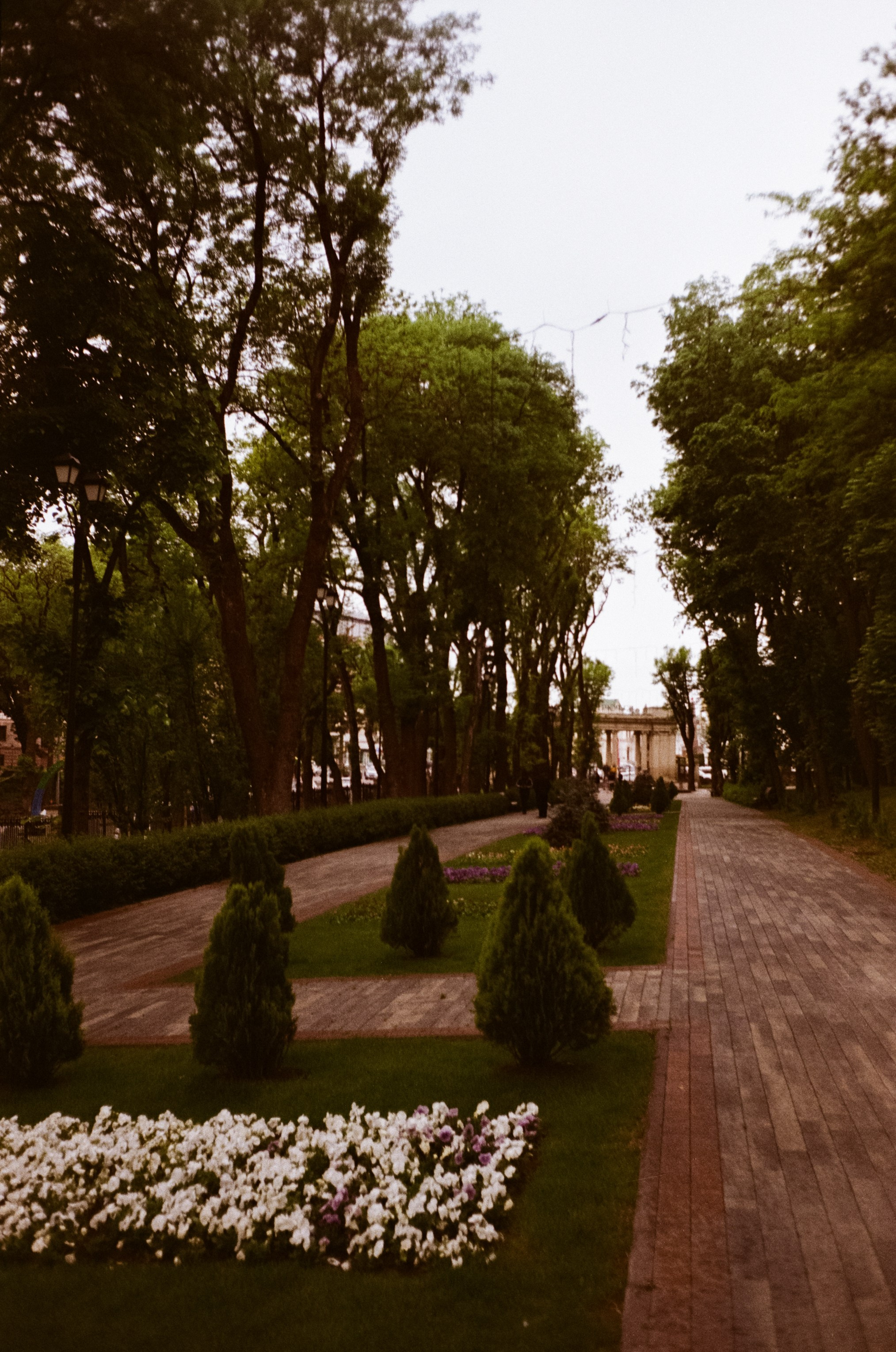 Ессентуки / 4 мая 2024 года / Minox 35GT / Konica VS Super 200