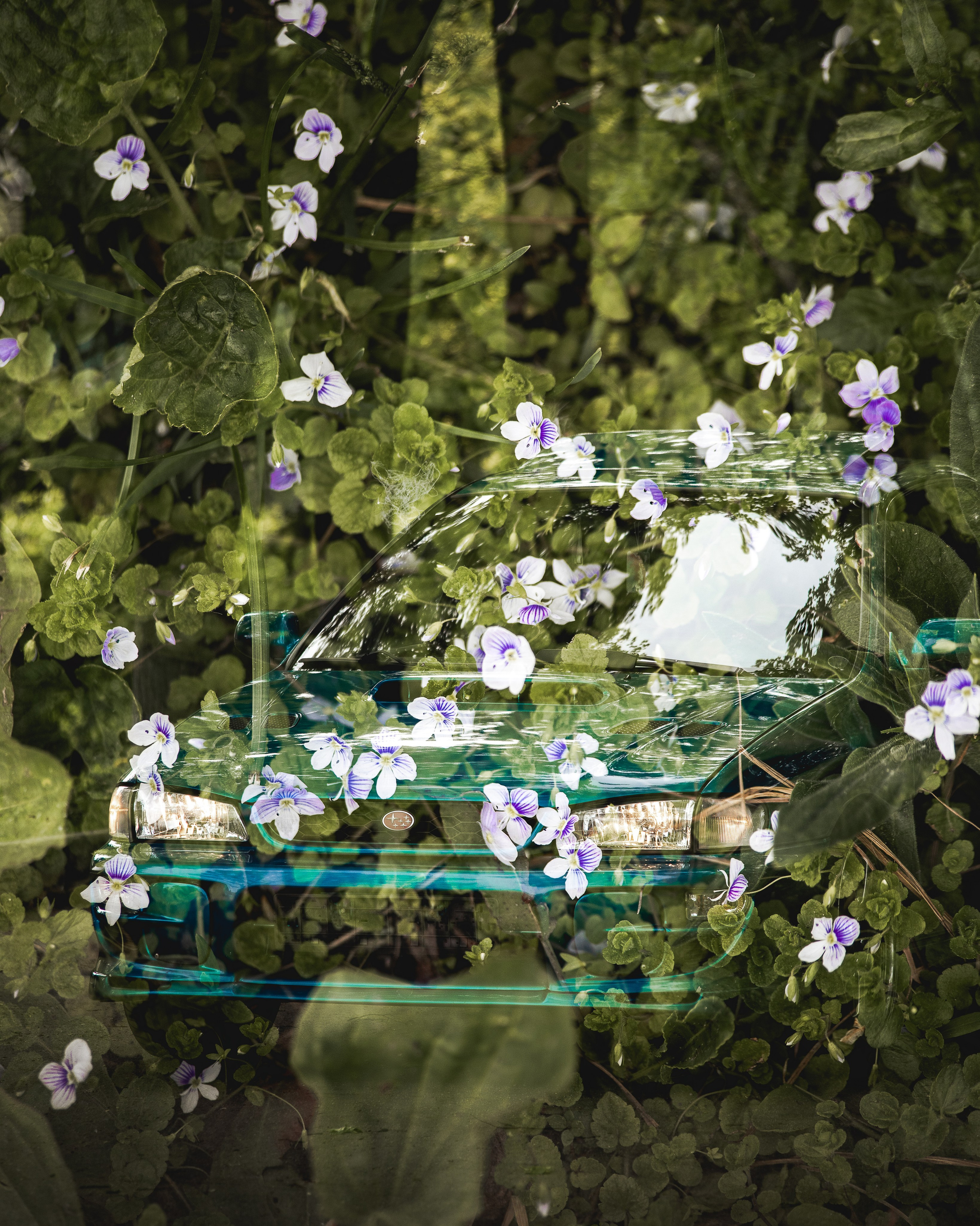 Subaru WRX. Спортивный фотограф — Никита