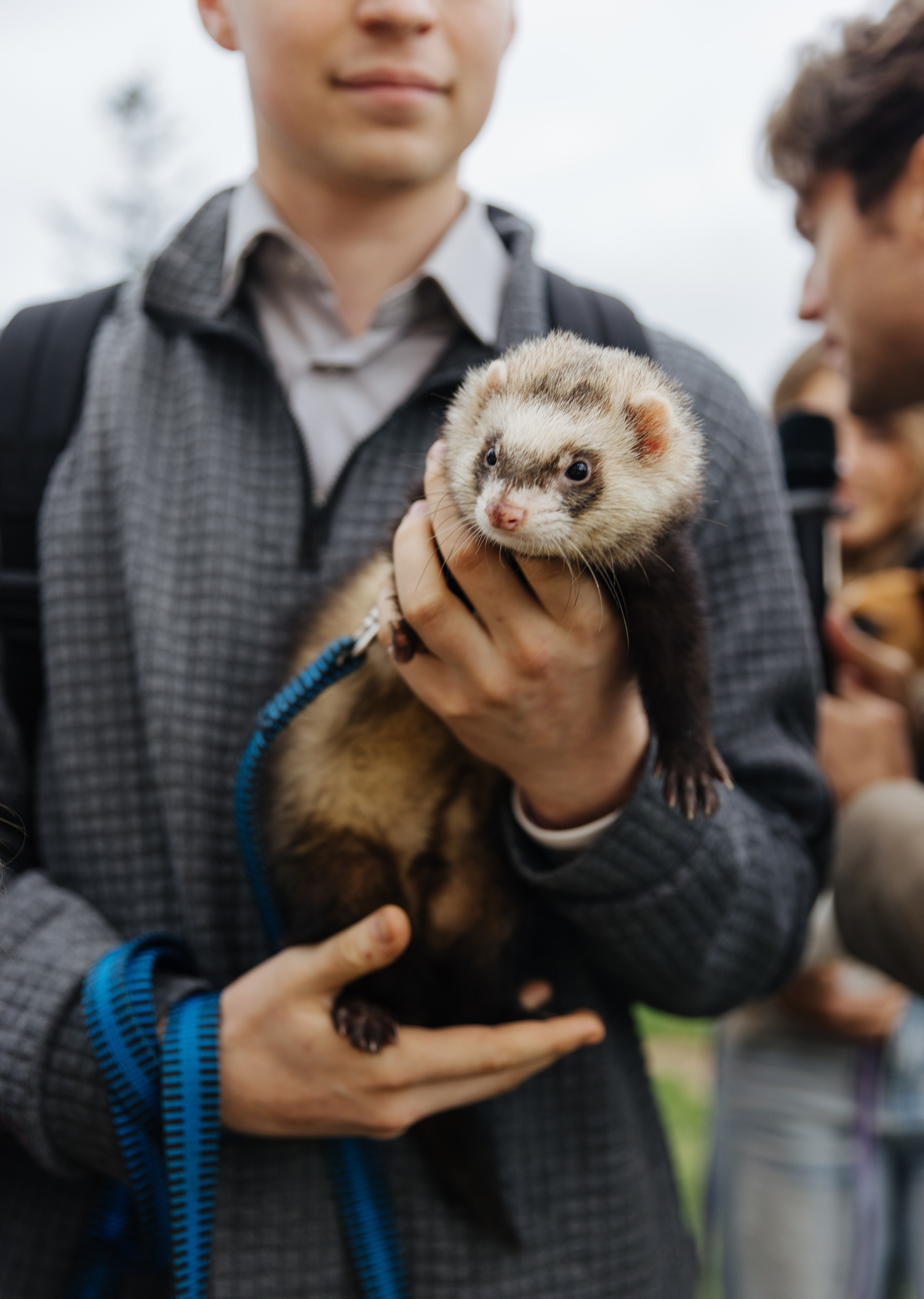 Хвостатый репортаж. Аксана Лисовская фотограф в Москве. Фотографии с характером