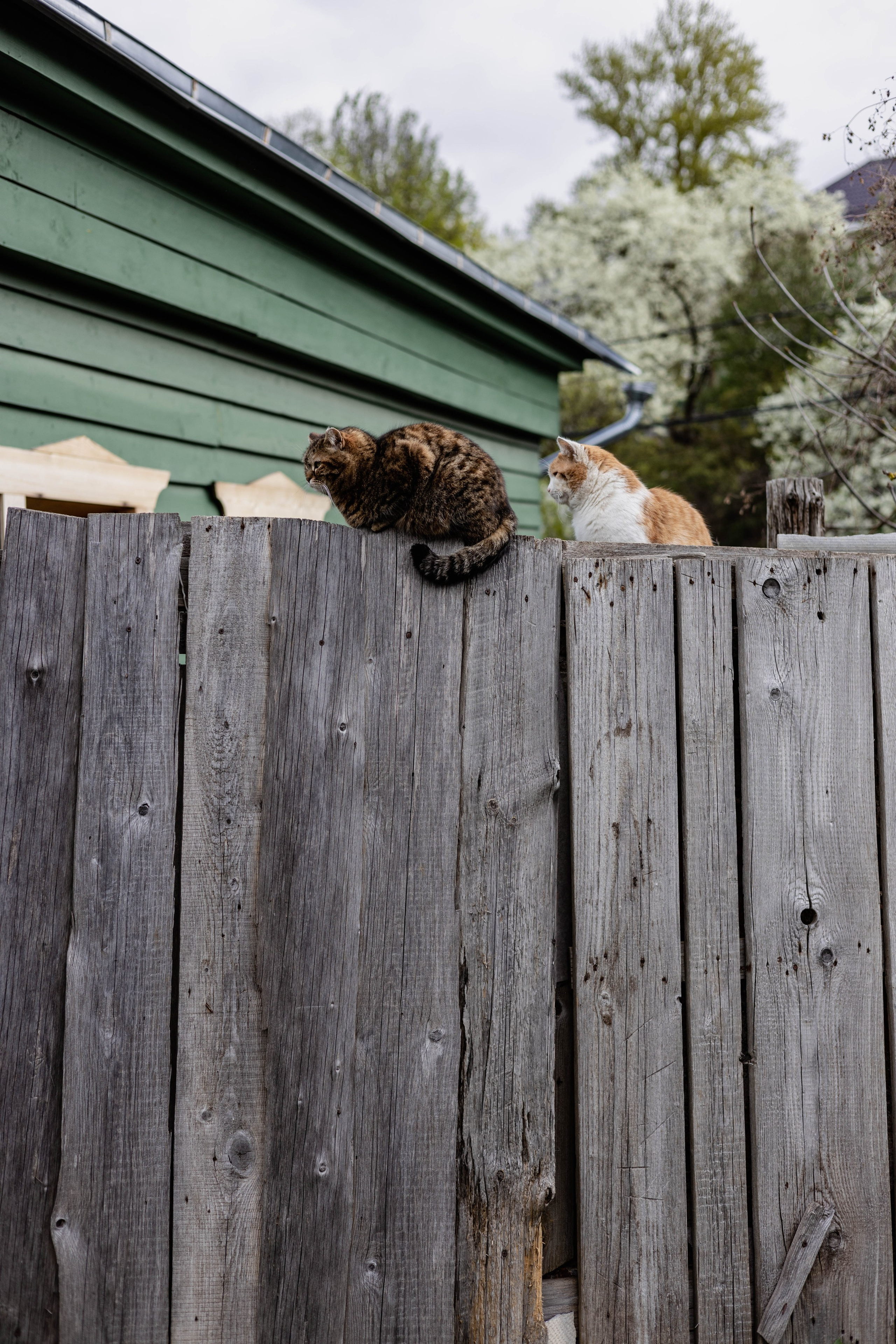Собор Николая Чудотворца Можайского. Артеменкова Анна Фотограф