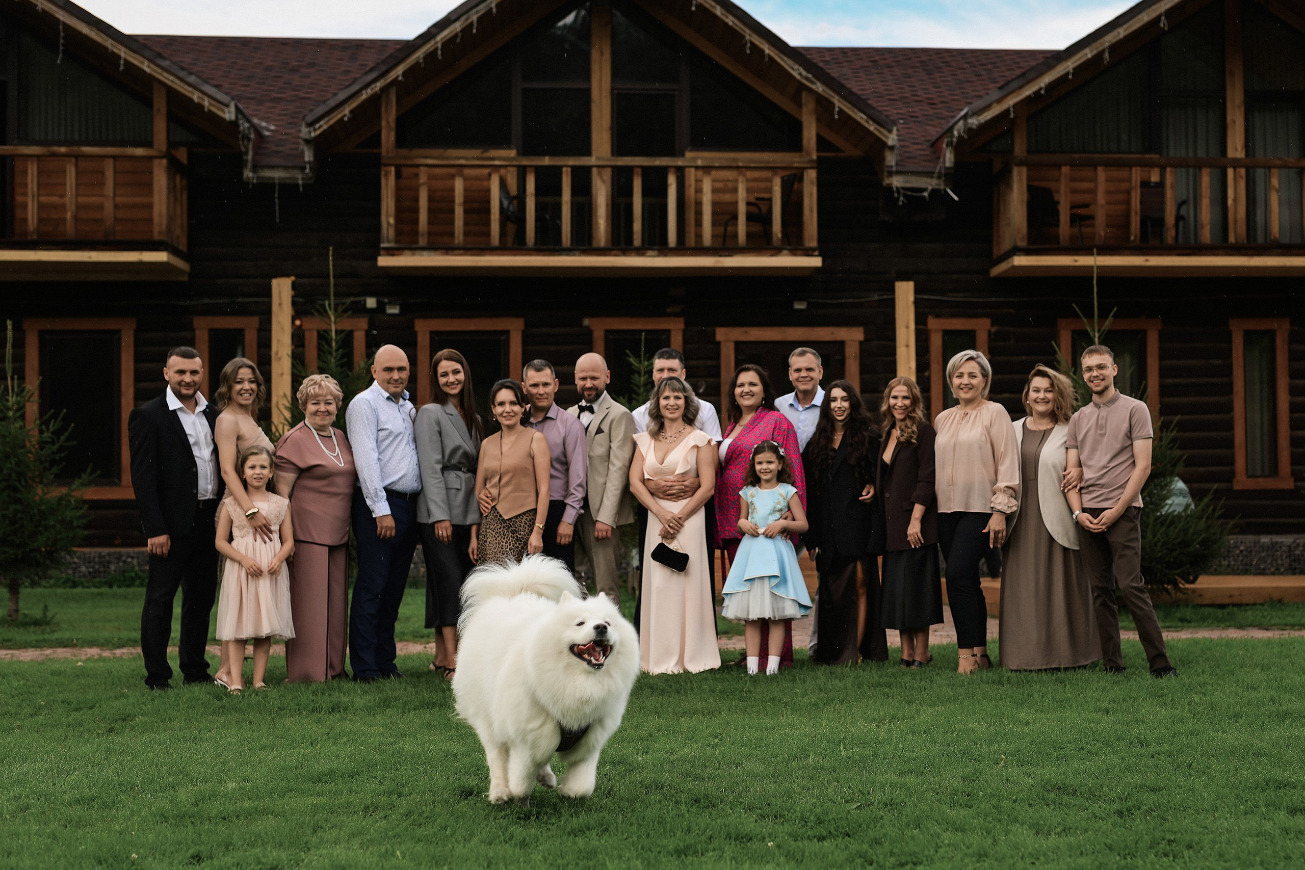 Самоед на свадьбе — свадебная фотосъёмка с собакой. 📸 Свадебный и семейный фотограф в Красноярске Тихомиров Евгений | 17 лет опыта | 800+ свадеб