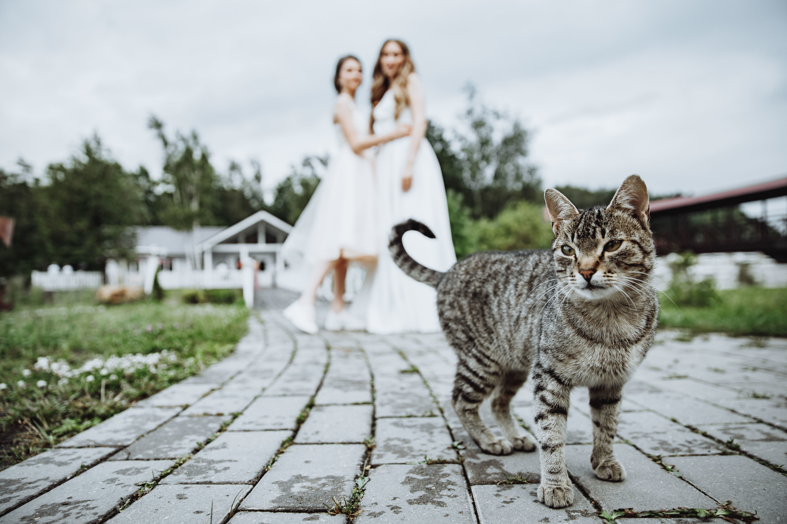 Сергей и Светлана. Фотограф Игнат Купряшин
