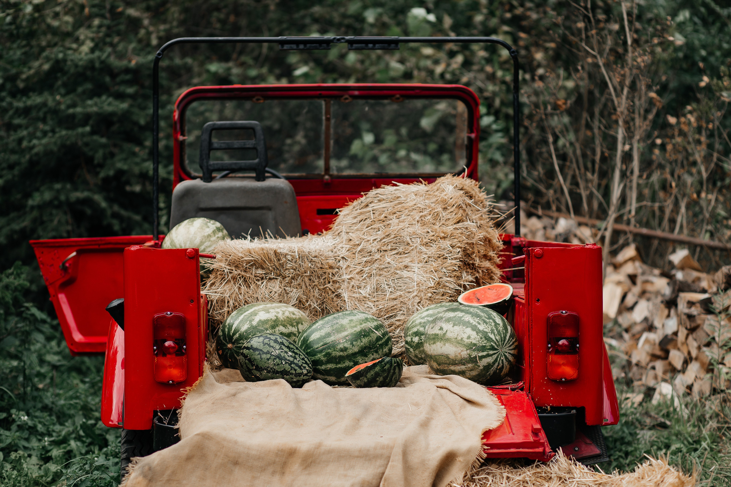 Осенняя детская фотосессия с арбузами. Фотограф в Подольске — Мария Бучнева