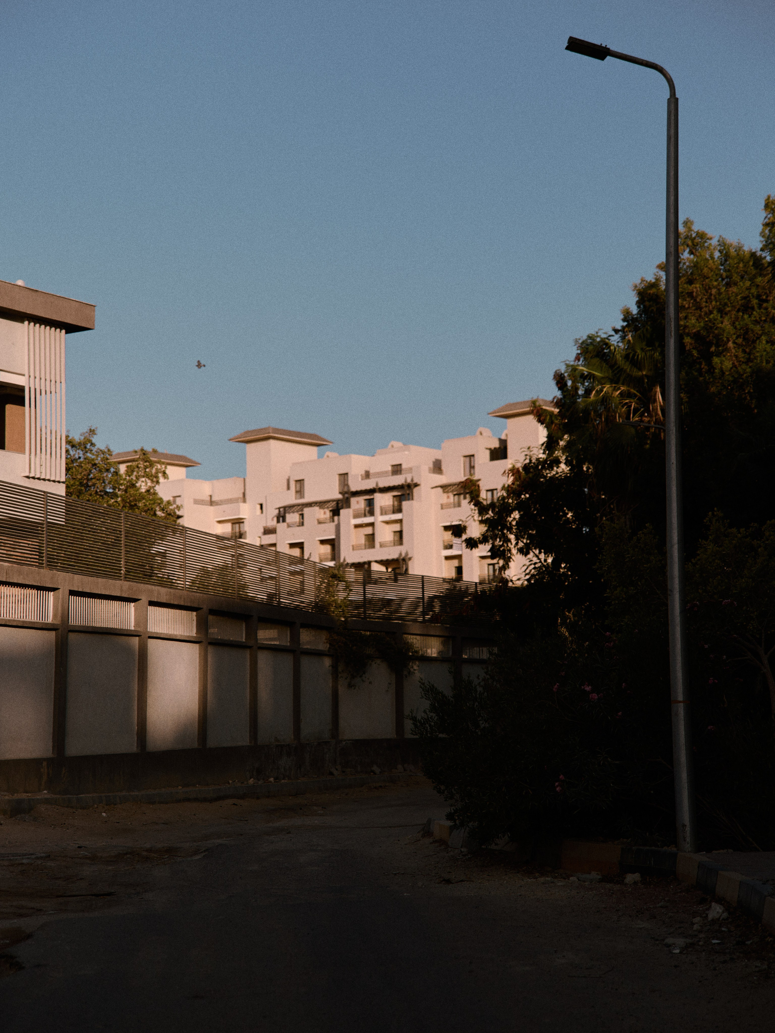 Улицы. Jorgis Talè — photographer, kind person, teacher of arts and other mag