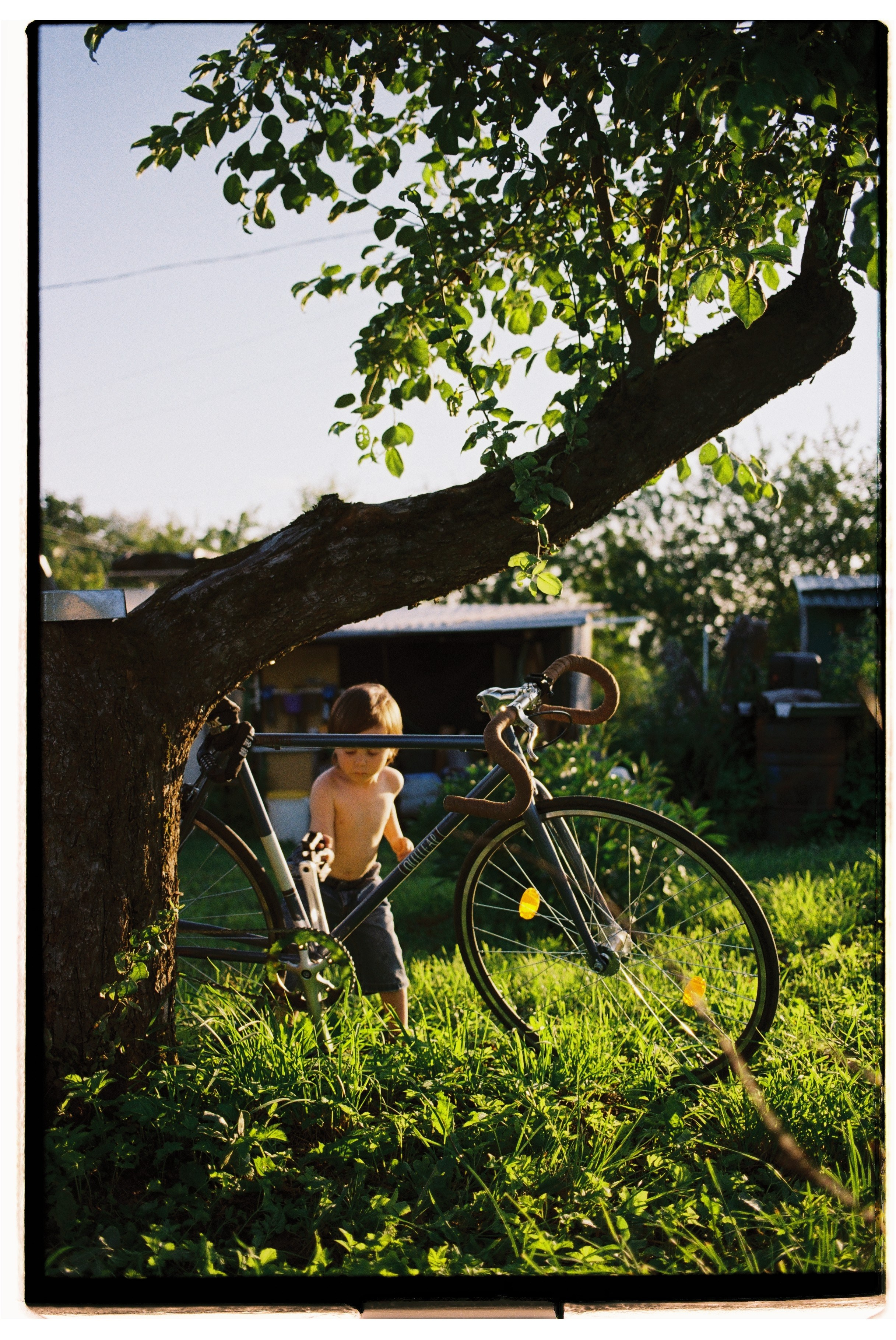 Дача. Свадебный фотограф Артем Смирнов