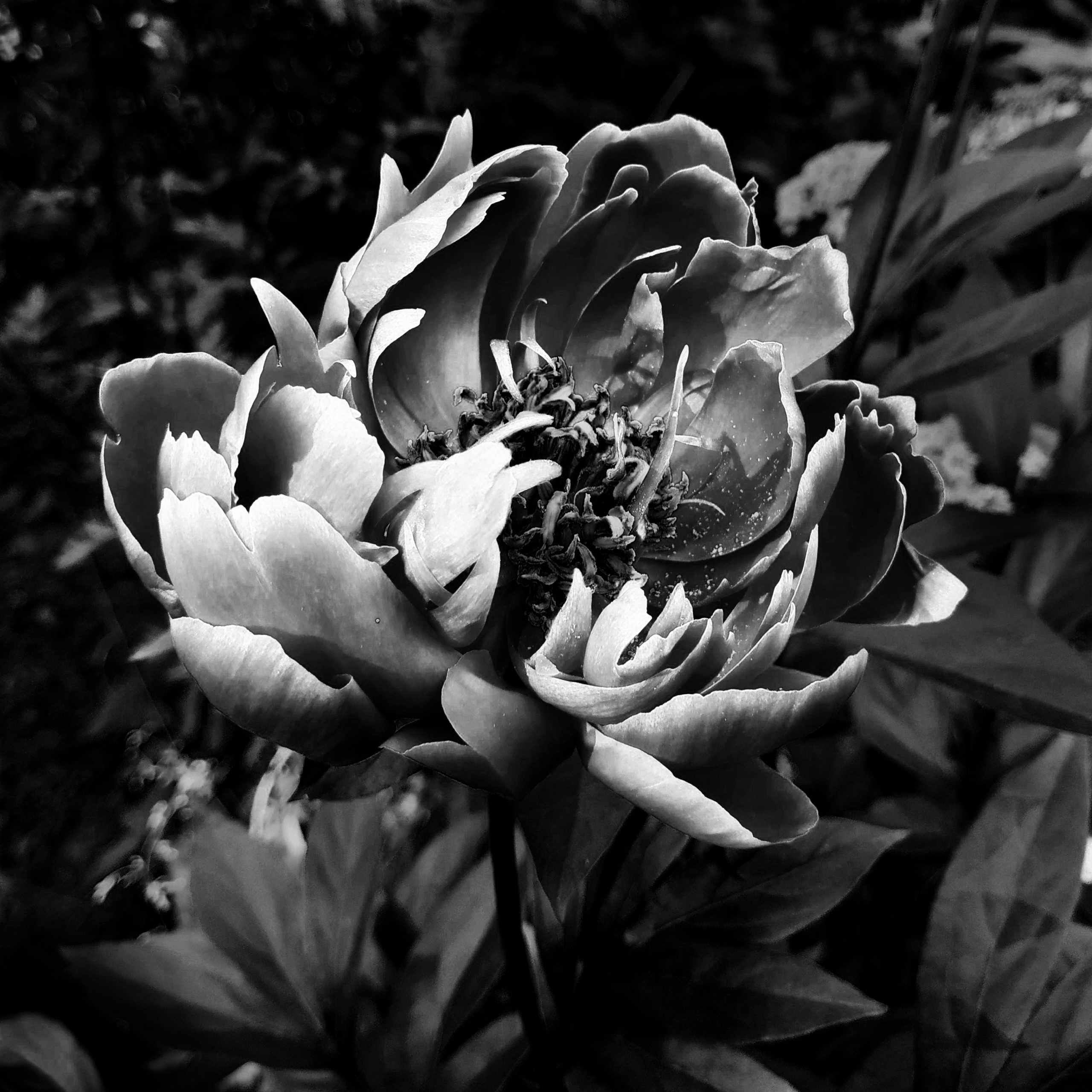 Природа. Настасья Проценко. Фотограф