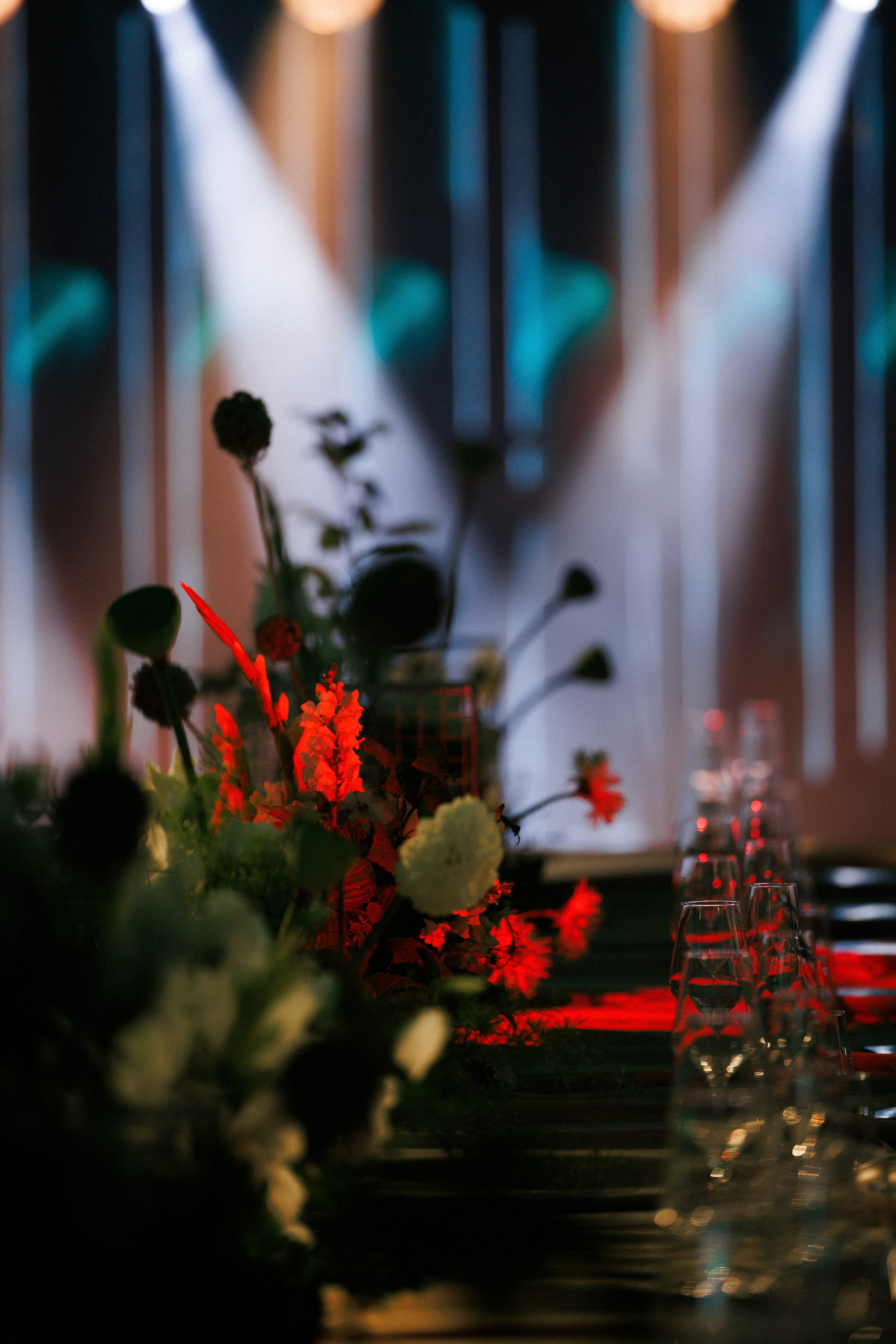 Мы — начало. Свадебный и репортажный фотограф Новороссийск, Краснодар, Сочи Олеся Дзюба