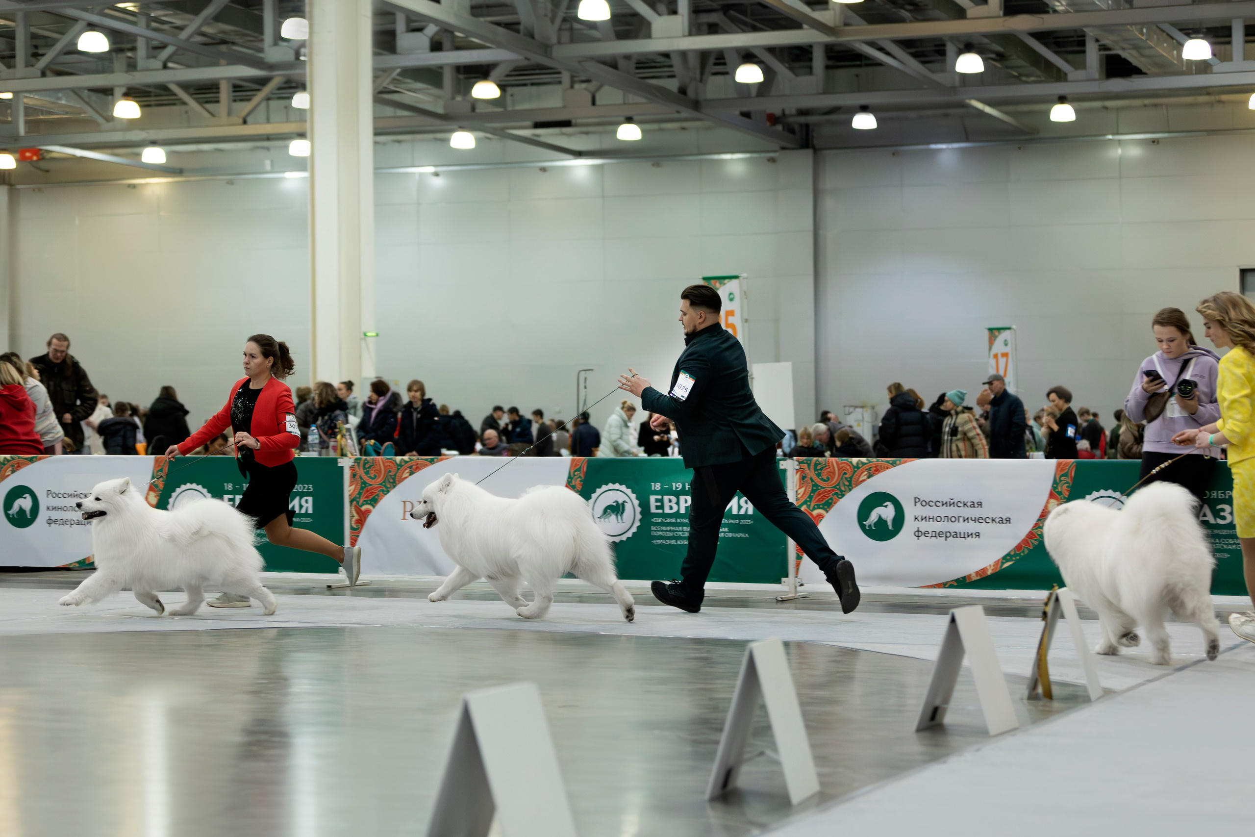 Евразия 2023. Фотограф анималист в Москве Майорова Евгения