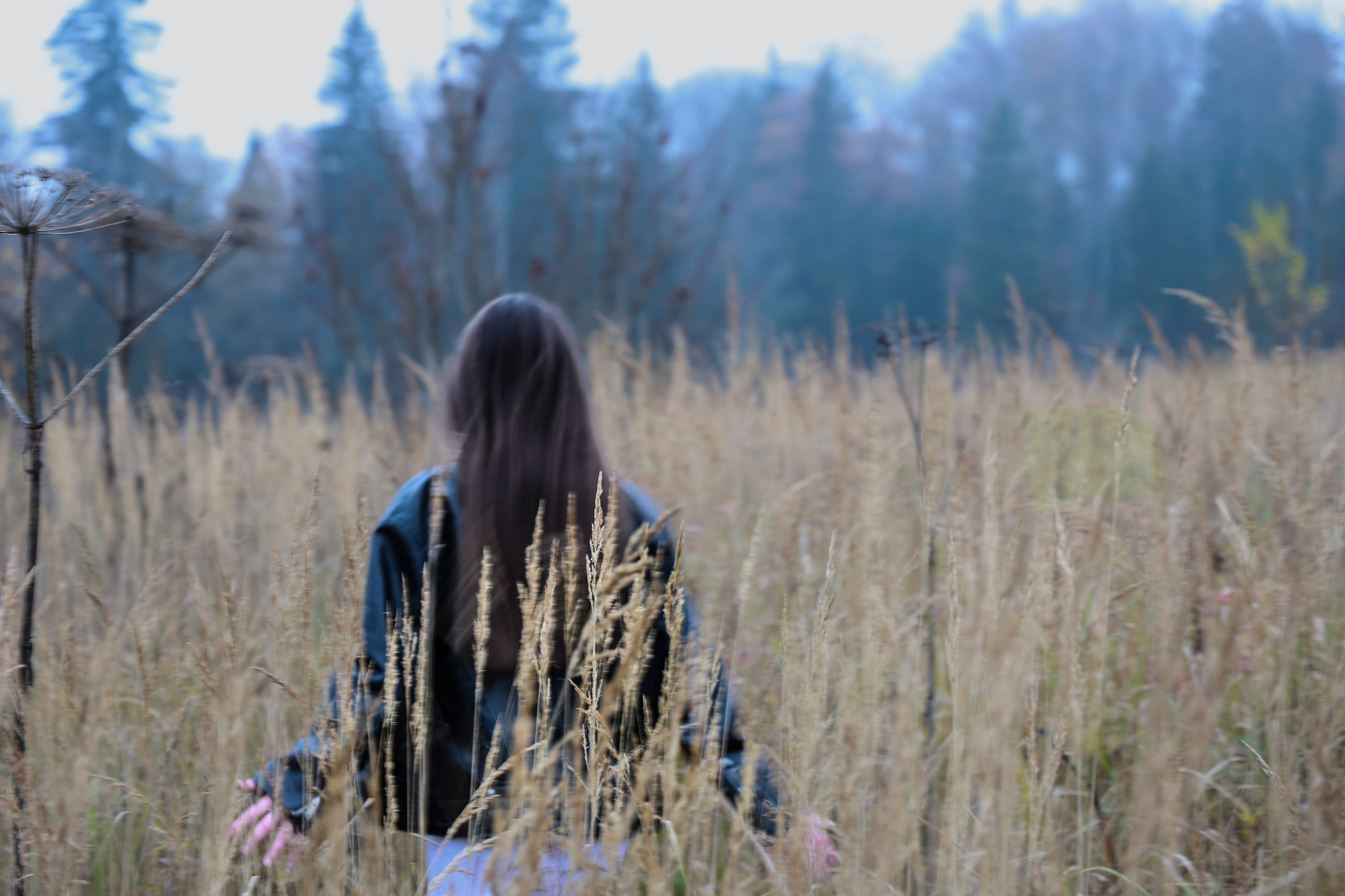 Сумерки. Елизавета Ковалевская — ваш профессиональный фотограф