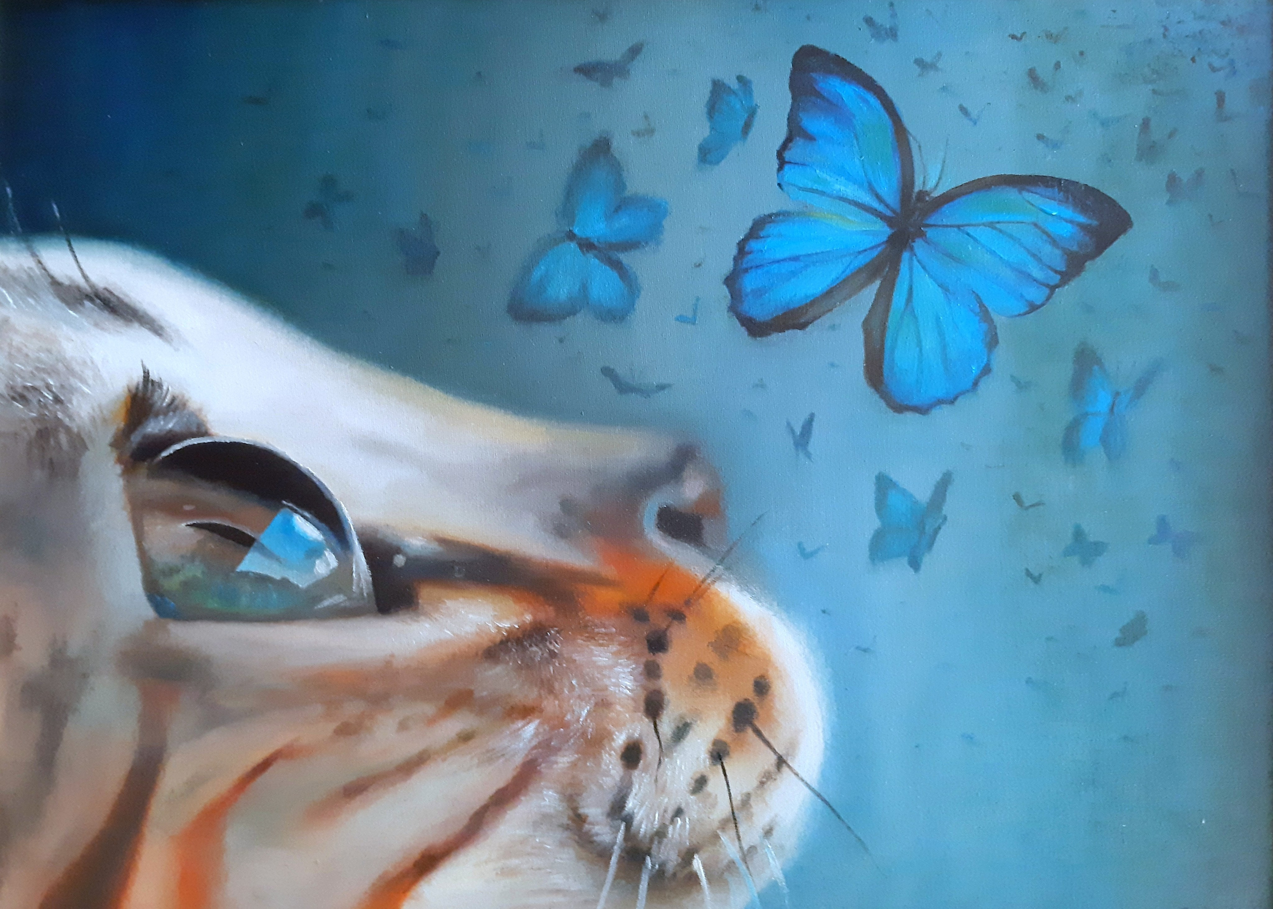 Картина с котом. Картина маслом на холсте ручной работы. Голубая синяя картина. Картина глаза кота. Картина с кошкой маслом. Картина с бабочкой.