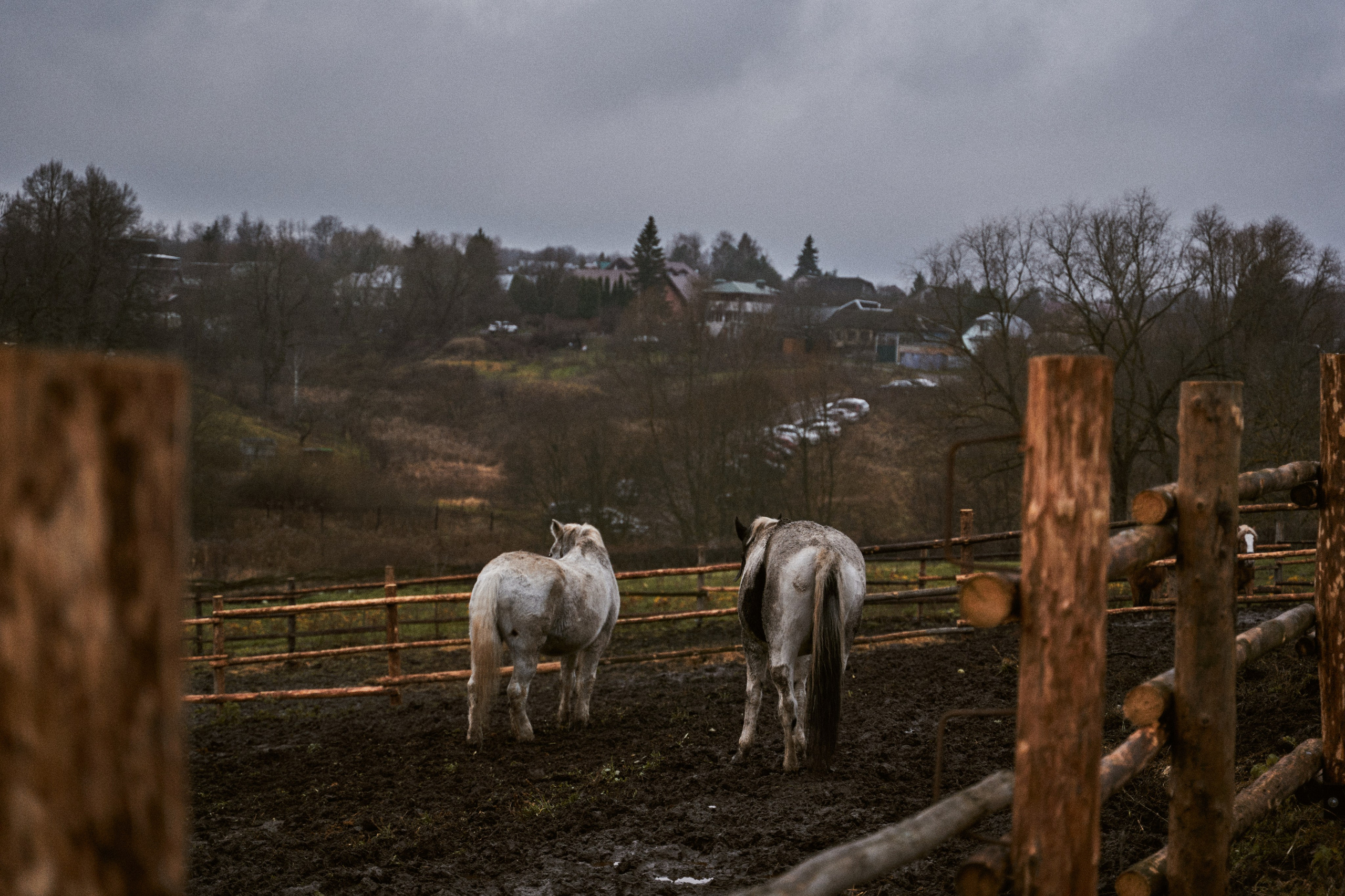 Осень в Ясной поляне. Фотограф в Санкт-Петербурге | Аня Маленчук