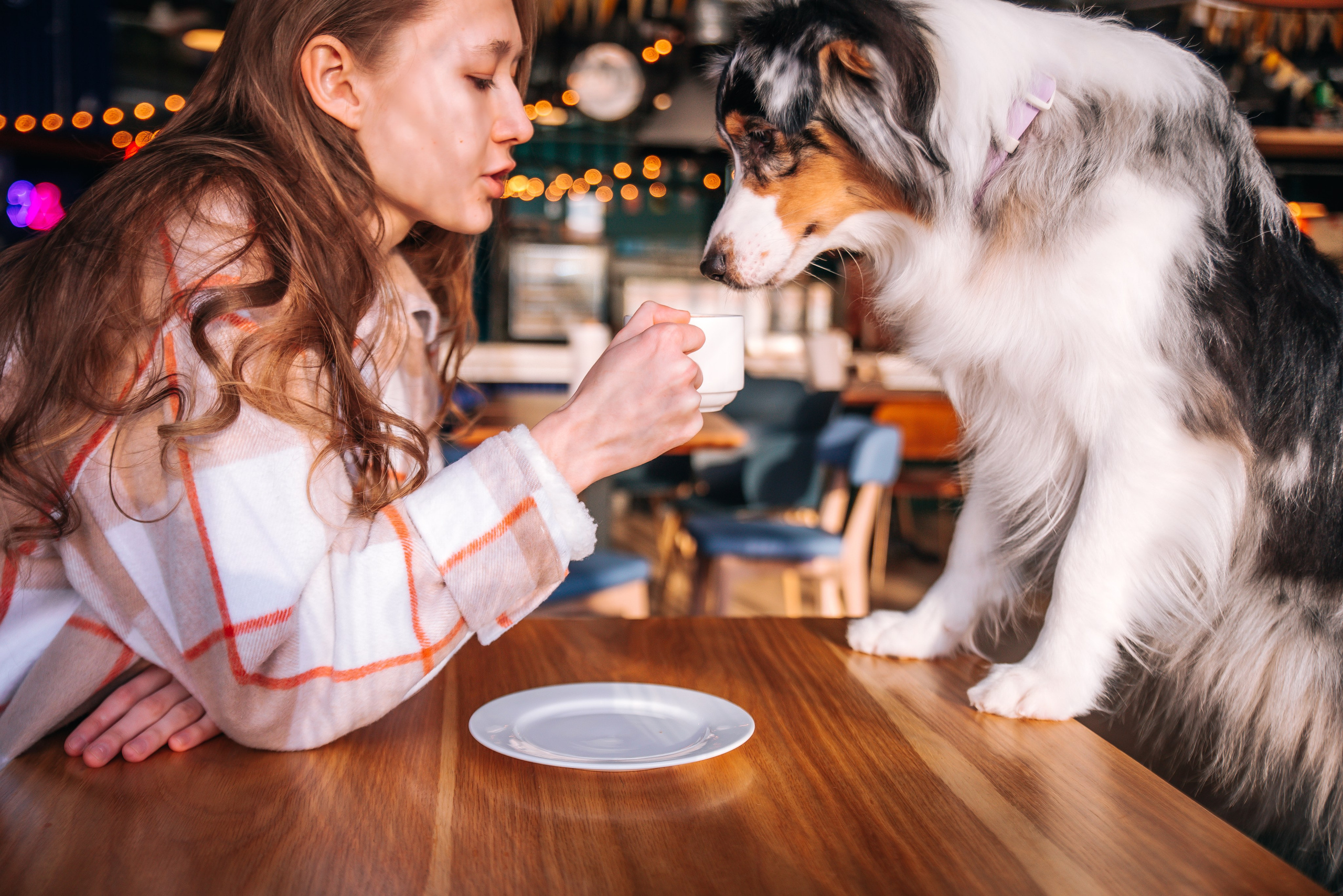 Лиза и Харли в кафе. Главная