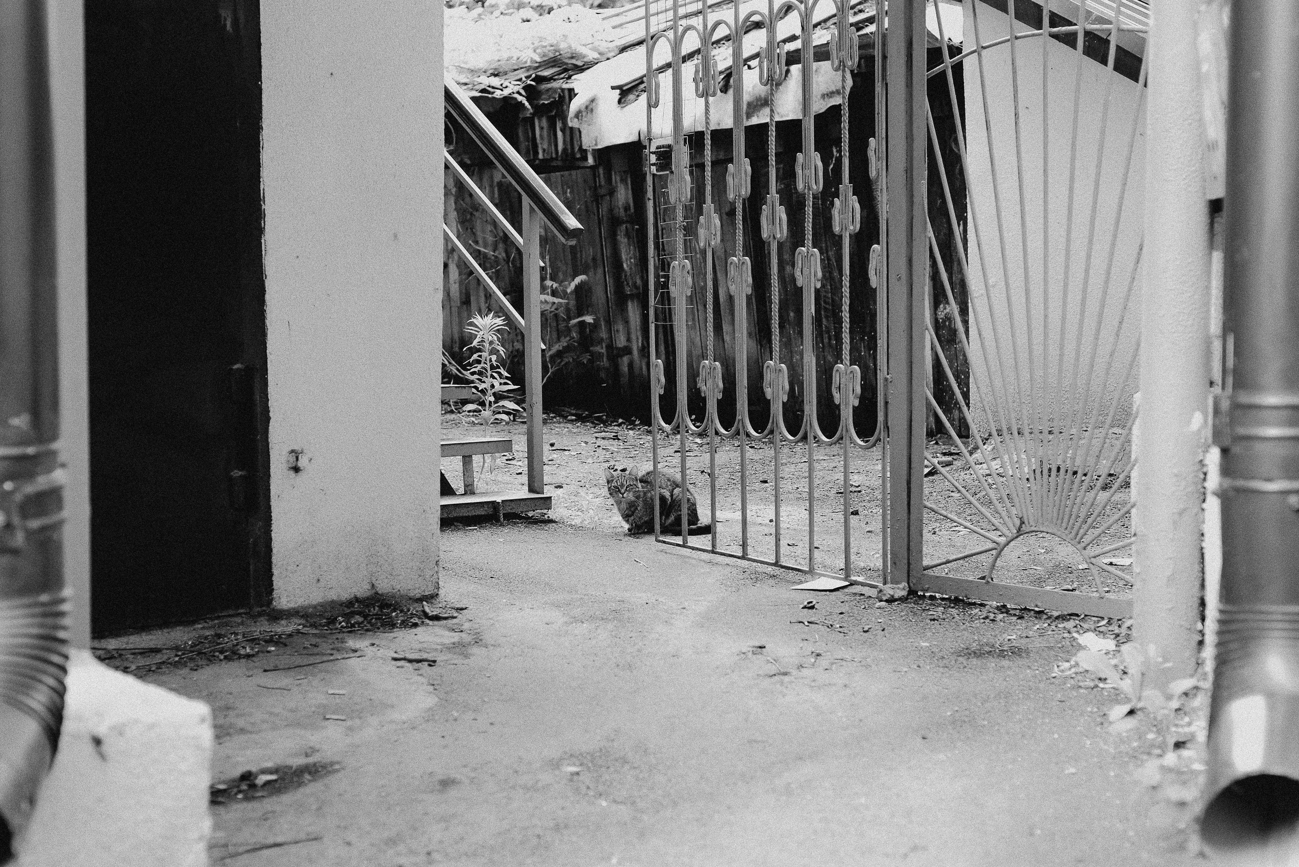 Рекламный фотограф из Гуанчжоу: история о Ростове-на-Дону. Коммерческий и предметный фотограф в Гуанчжоу Коваленко Александр