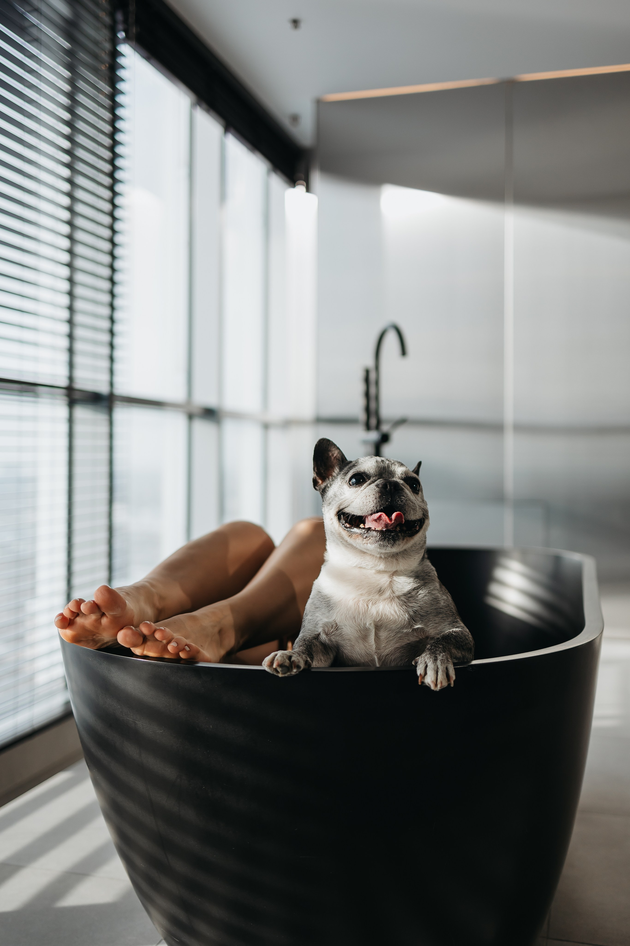 Марина и Джесс. Фотограф-анималист в Санкт-Петербурге Алина Яхонт