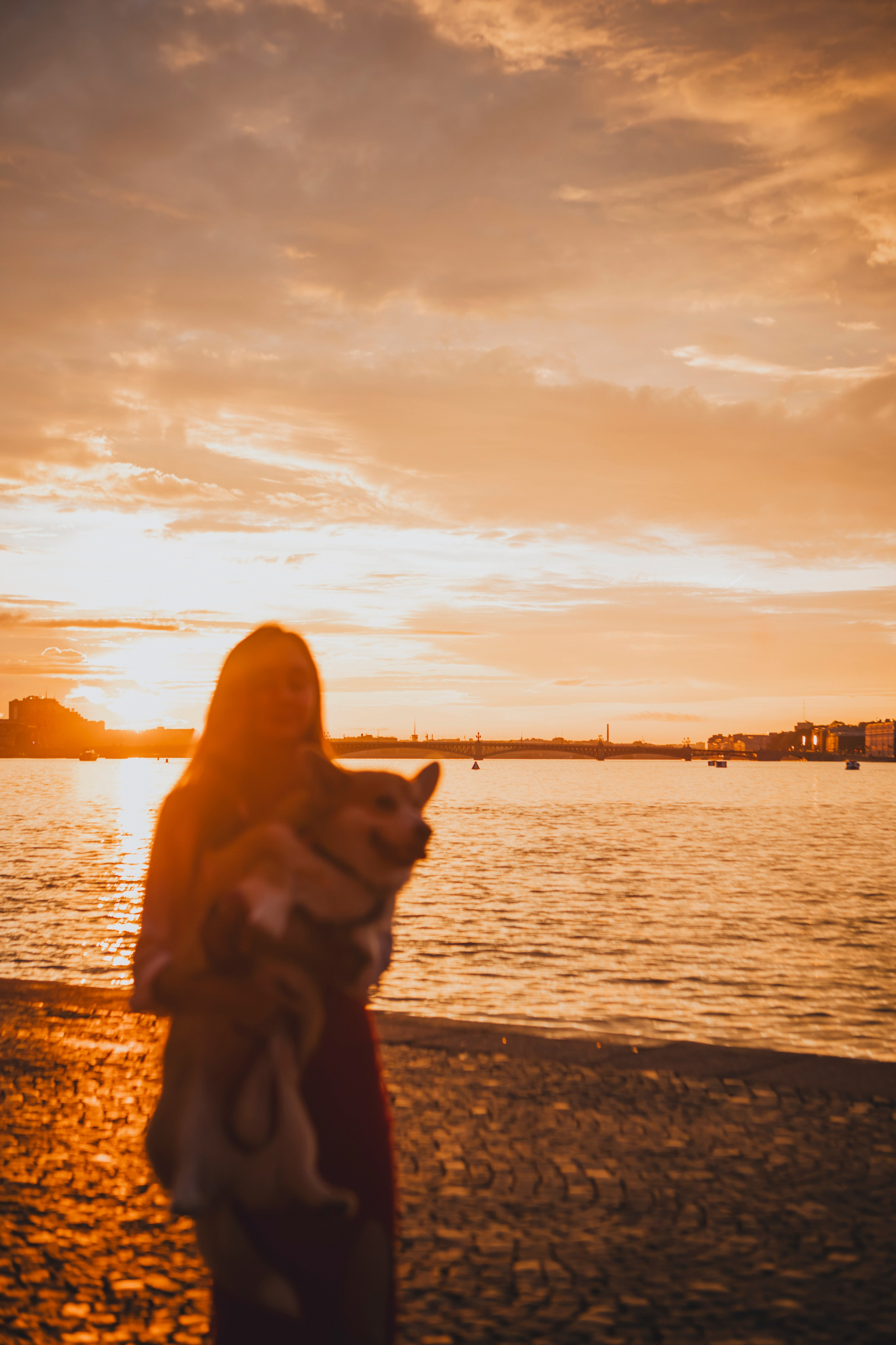 Настя и Стёпа. Фотограф-анималист в Санкт-Петербурге Алина Яхонт