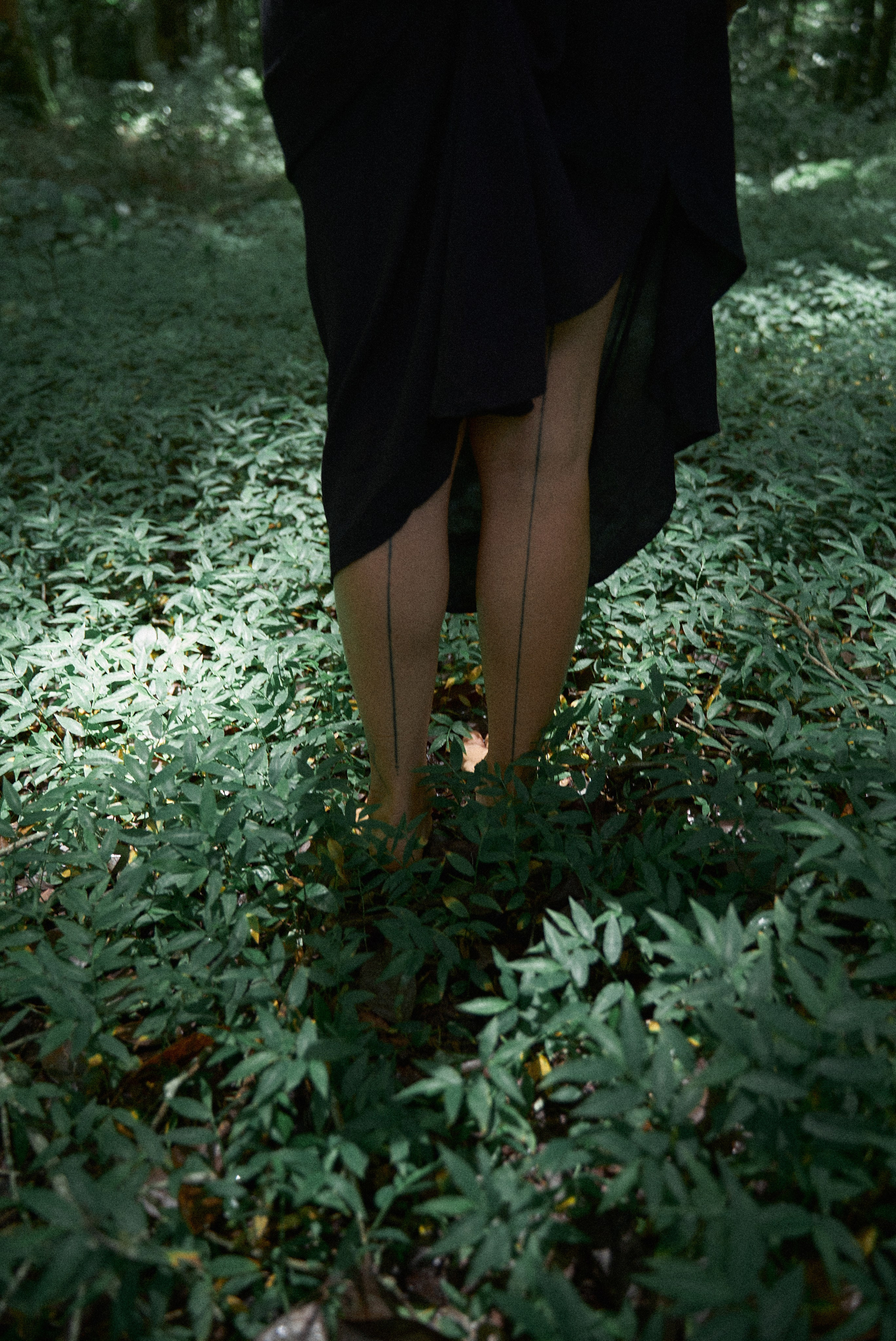 Julie nord garden. Главная